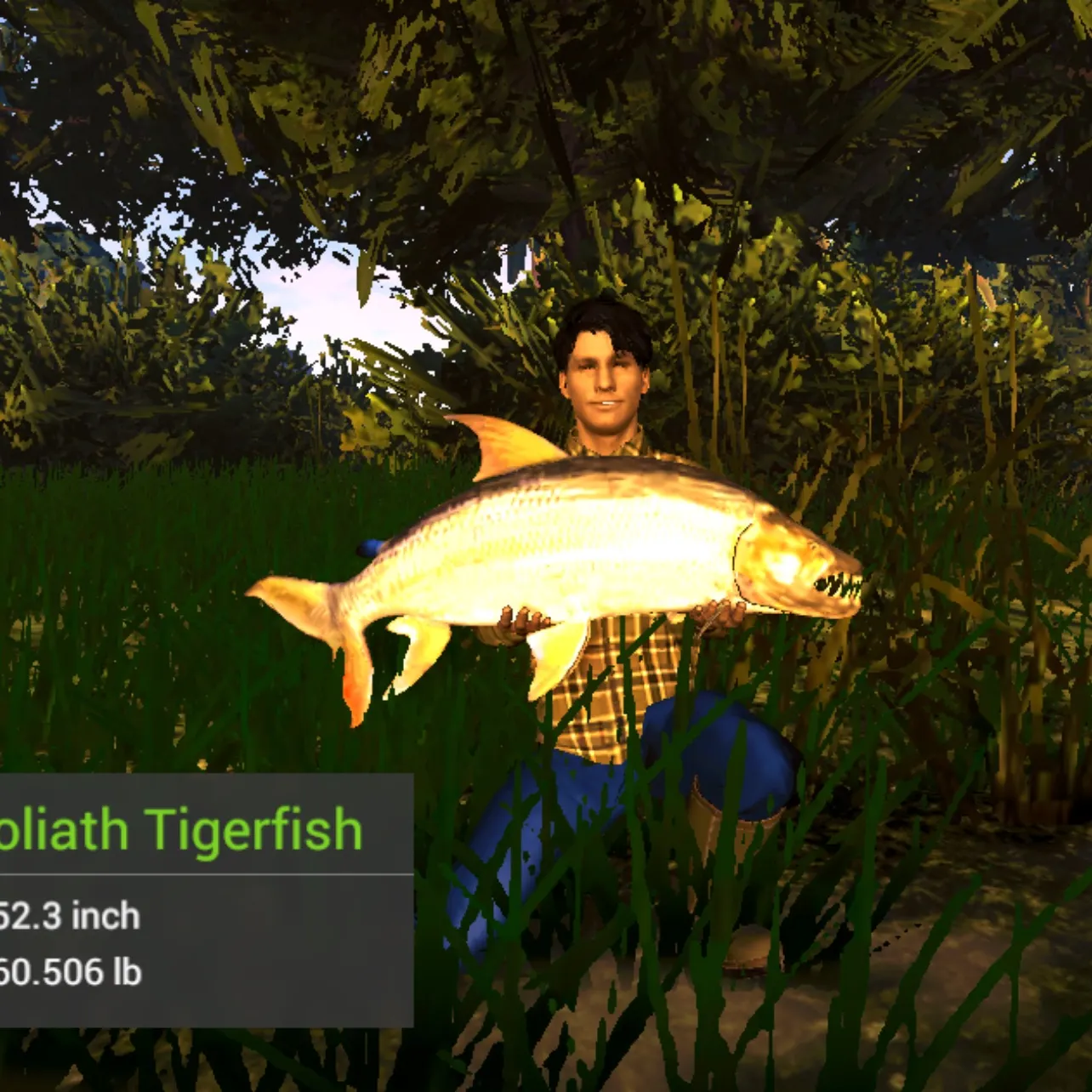 The most recent Goliath tigerfish catches on Fishbrain