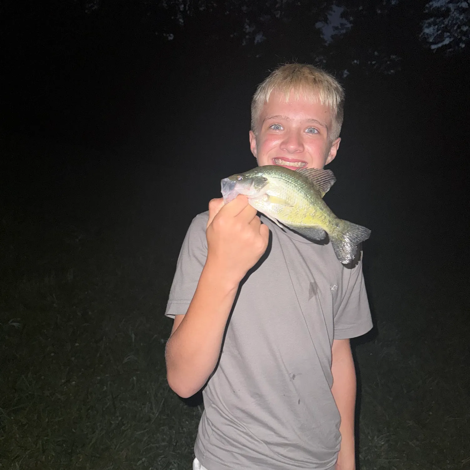 White crappie caught on Fishbrain