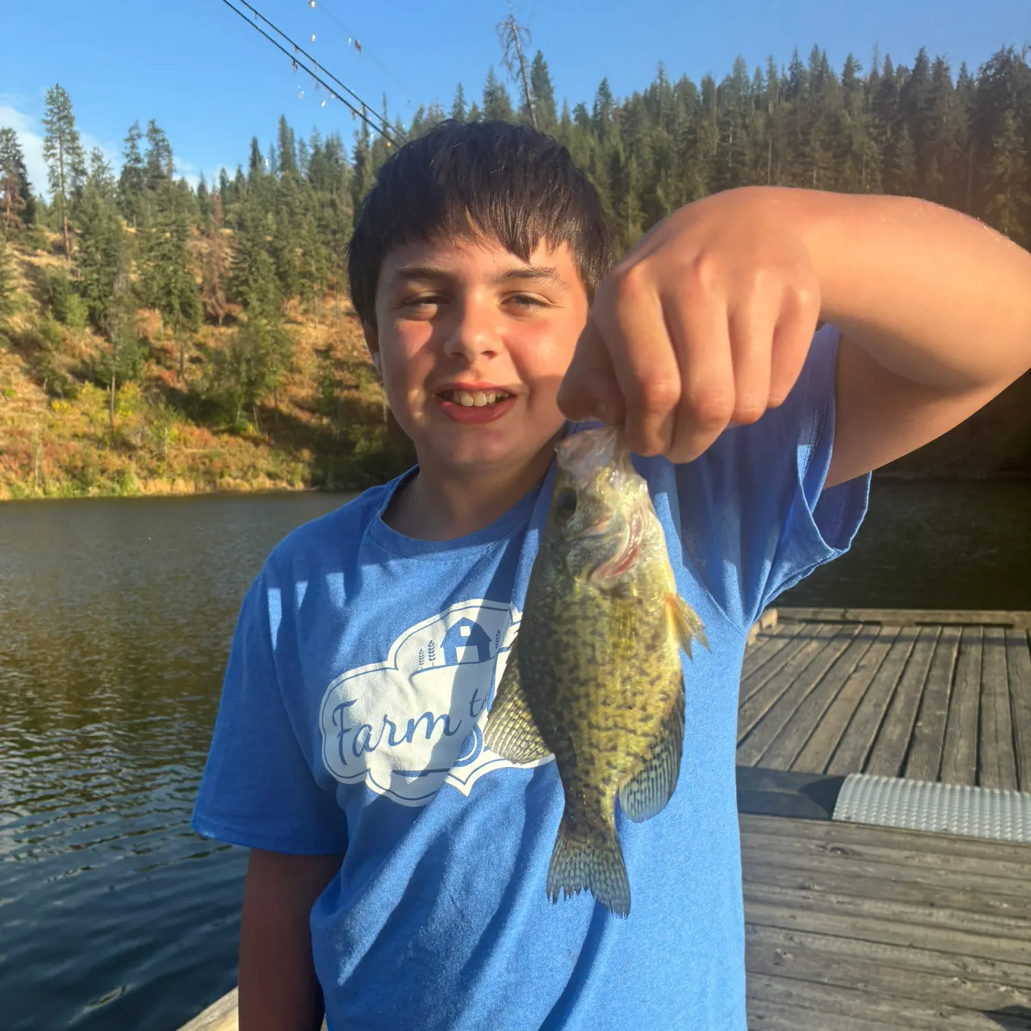 Black crappie caught on Fishbrain