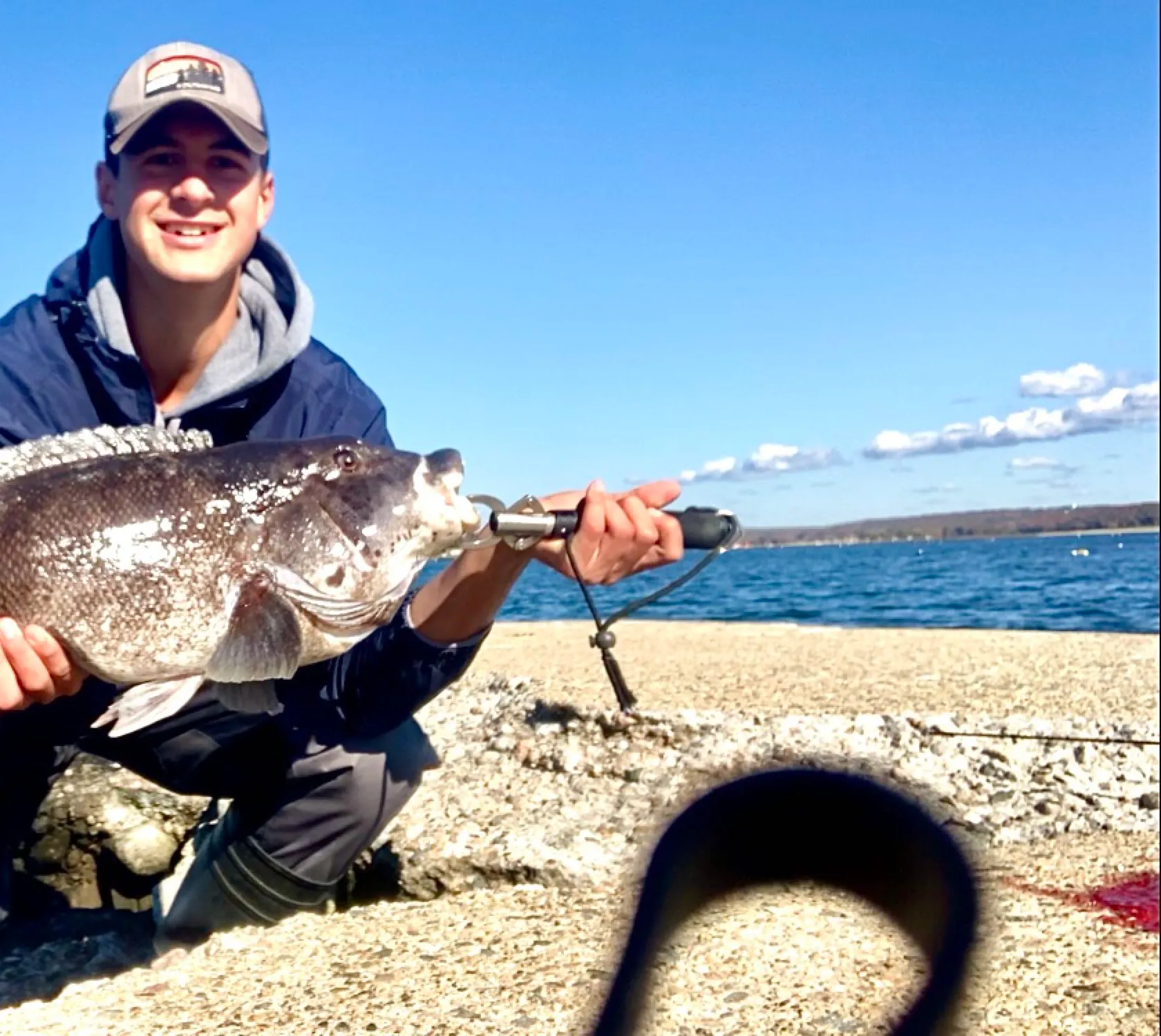 The most popular recent Tautog catch on Fishbrain