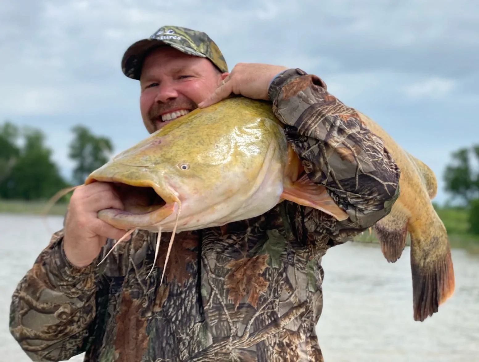 Flathead catfish