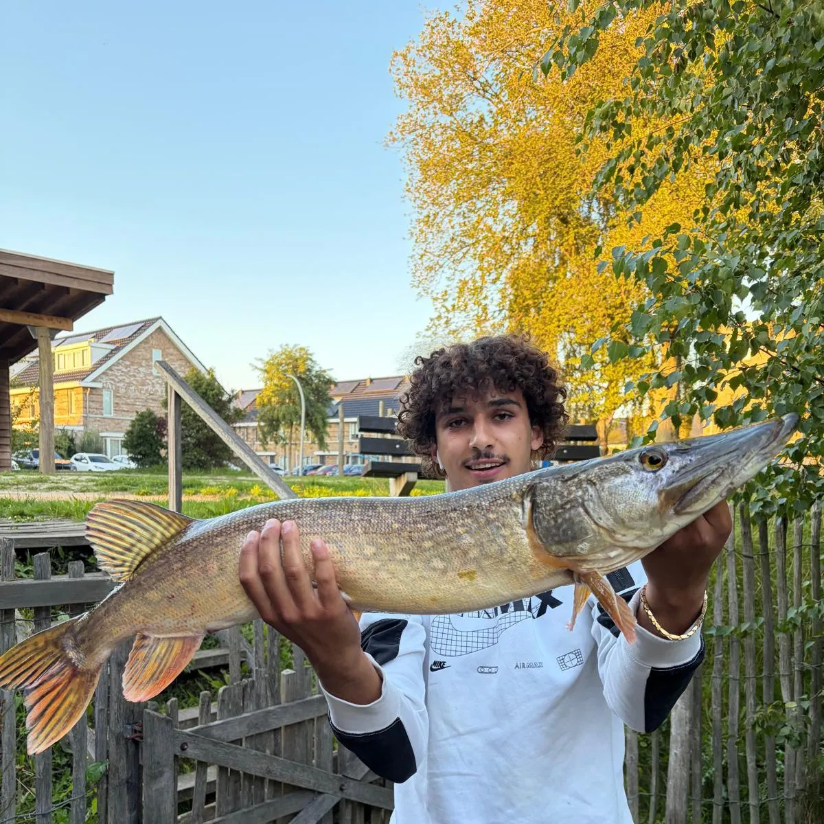 Northern pike caught on Fishbrain