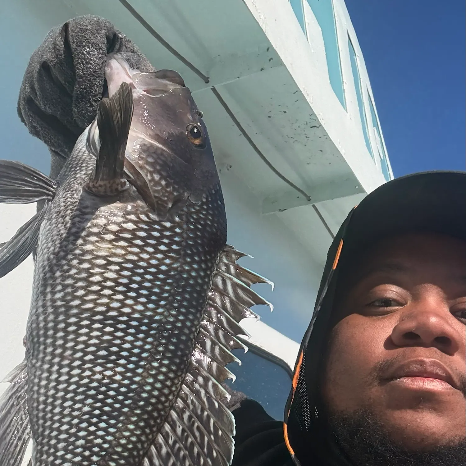 Black sea bass caught on Fishbrain