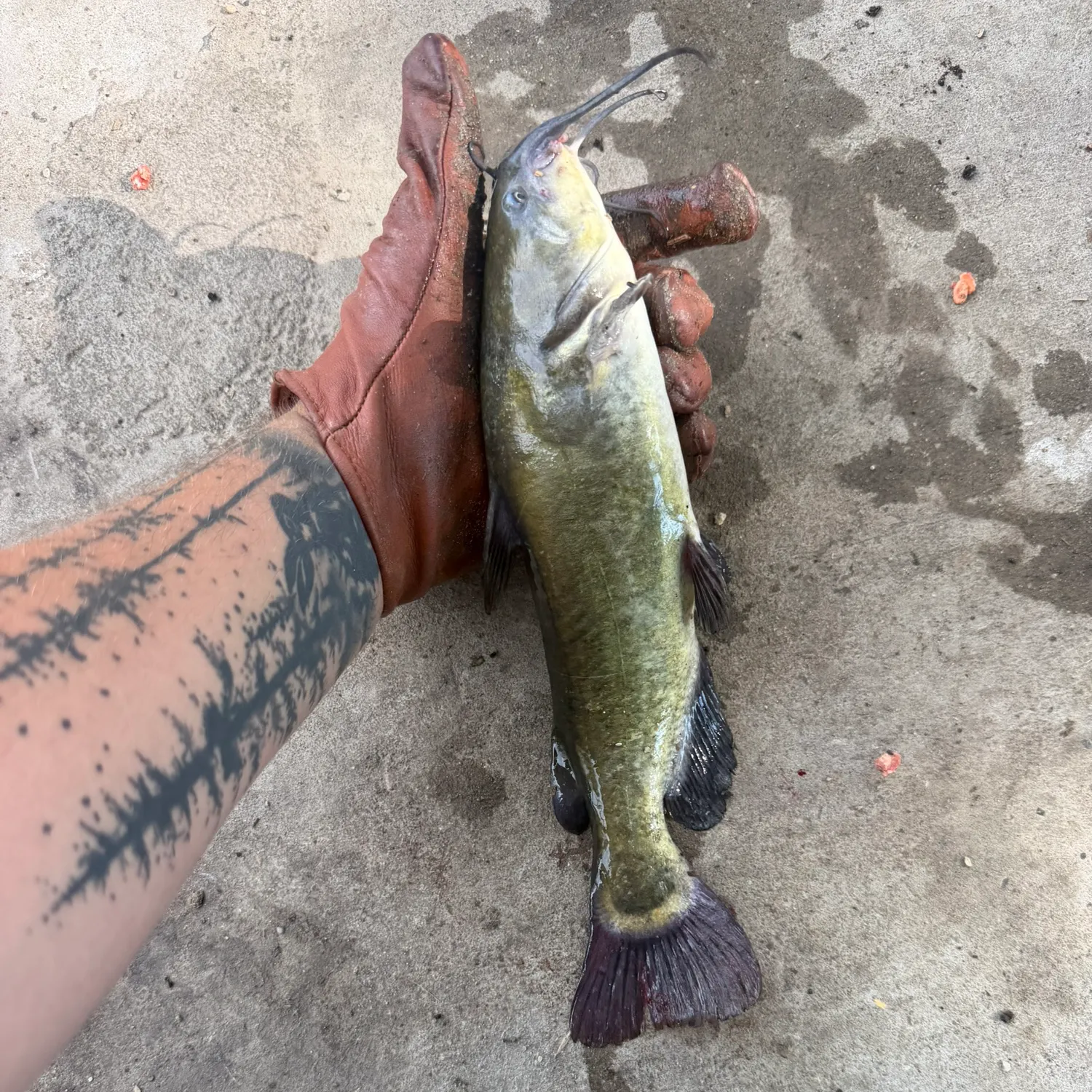catch