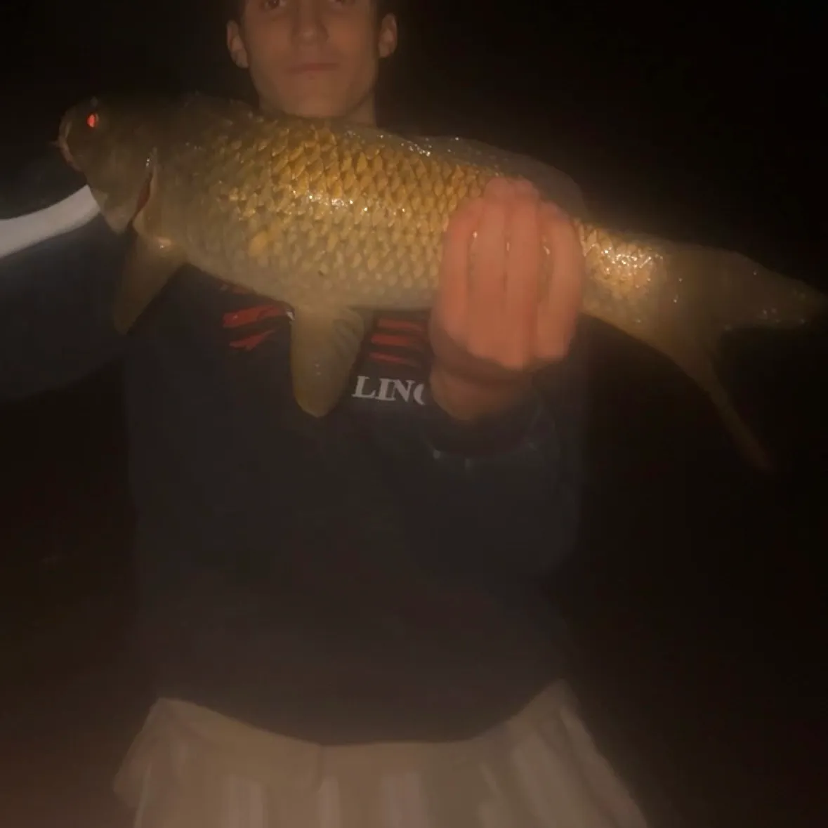 Common carp caught on Fishbrain