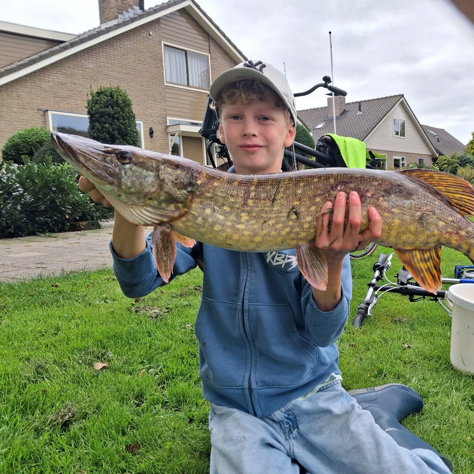 Northern pike caught on Fishbrain
