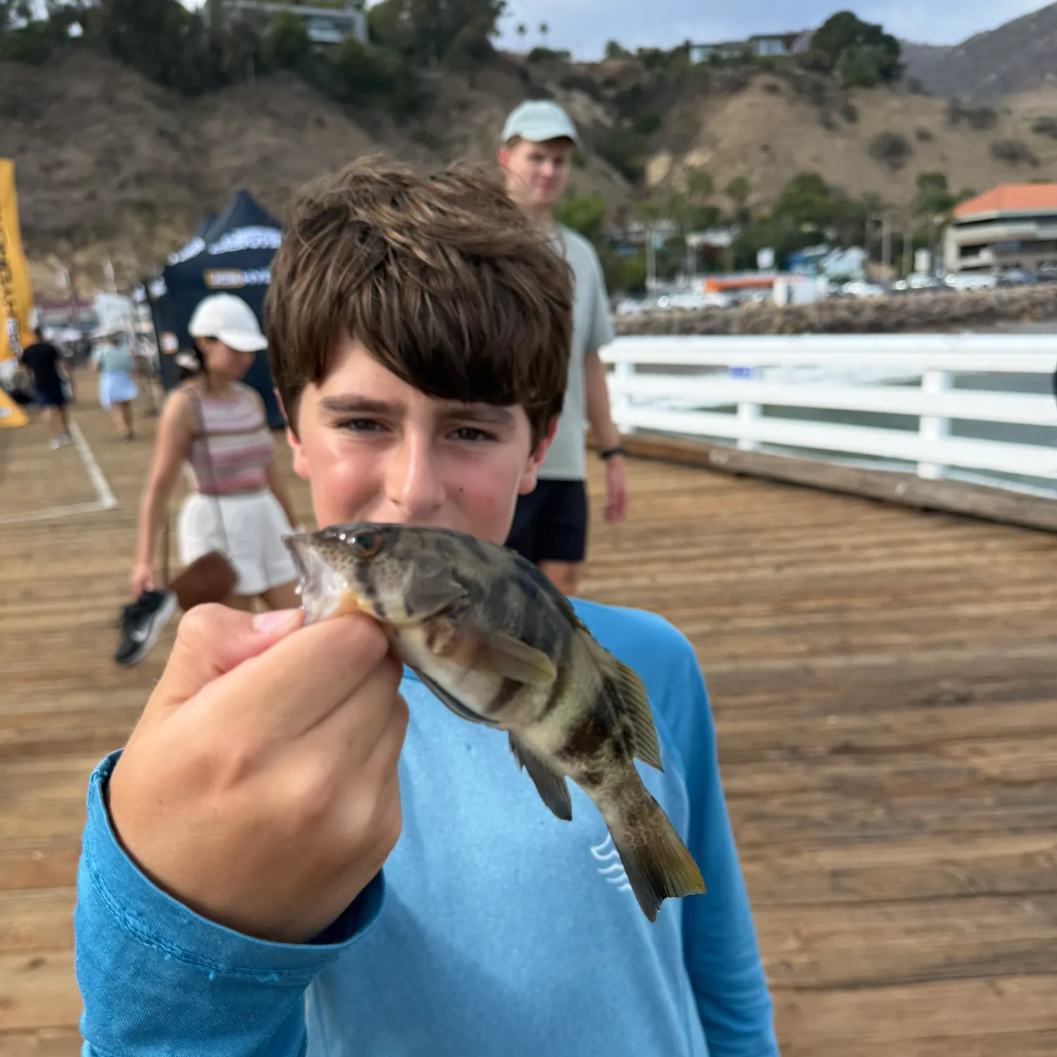 Barred sand bass caught on Fishbrain