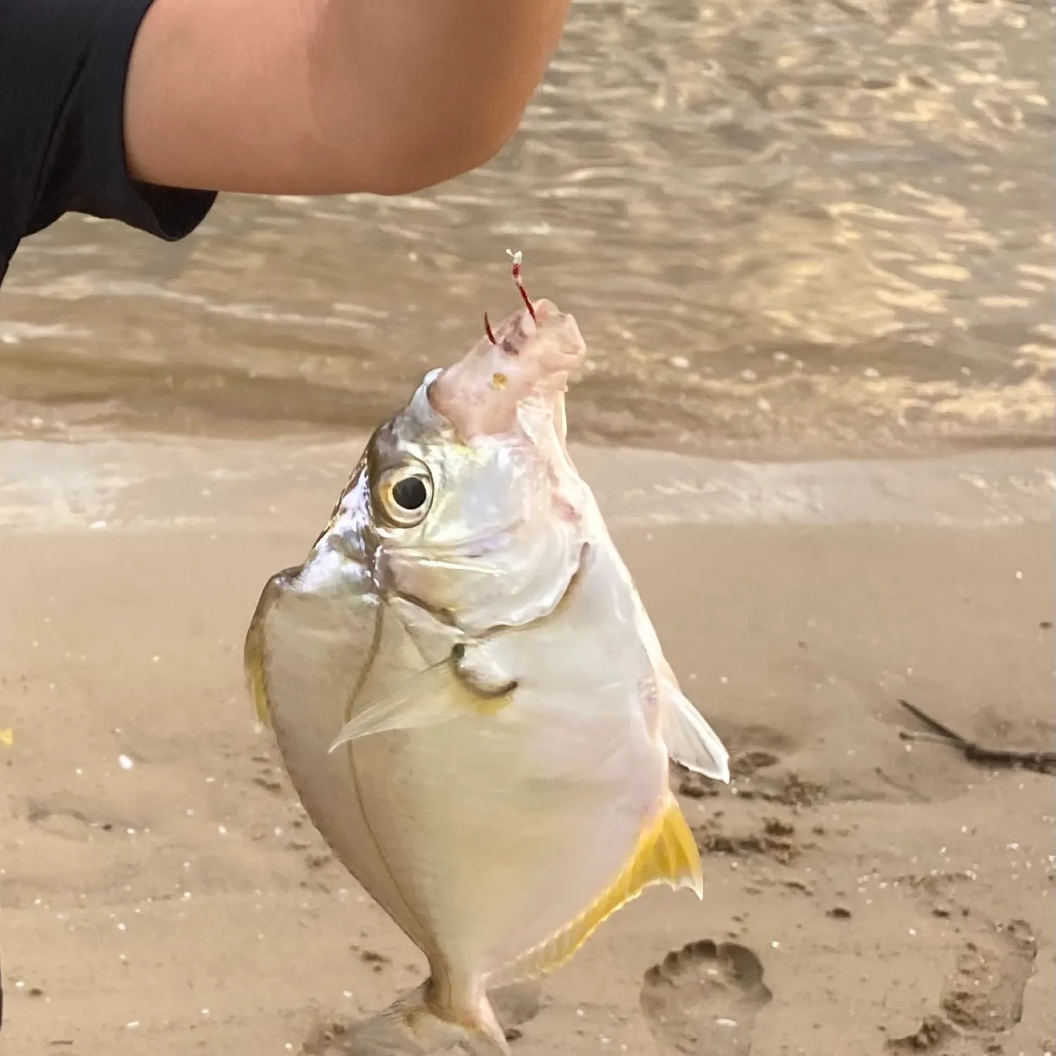 most liked catch image
