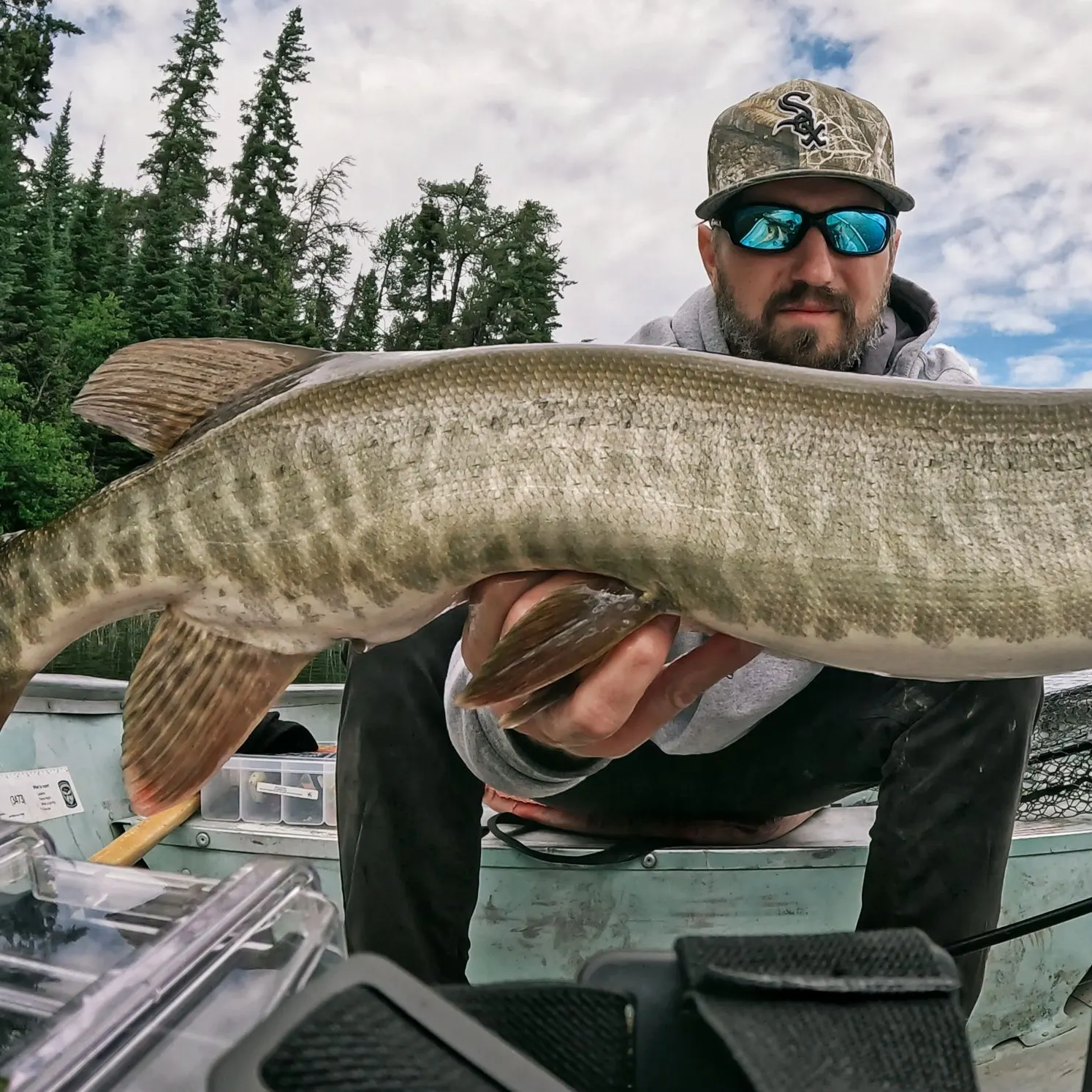 The most recent Muskellunge catches on Fishbrain