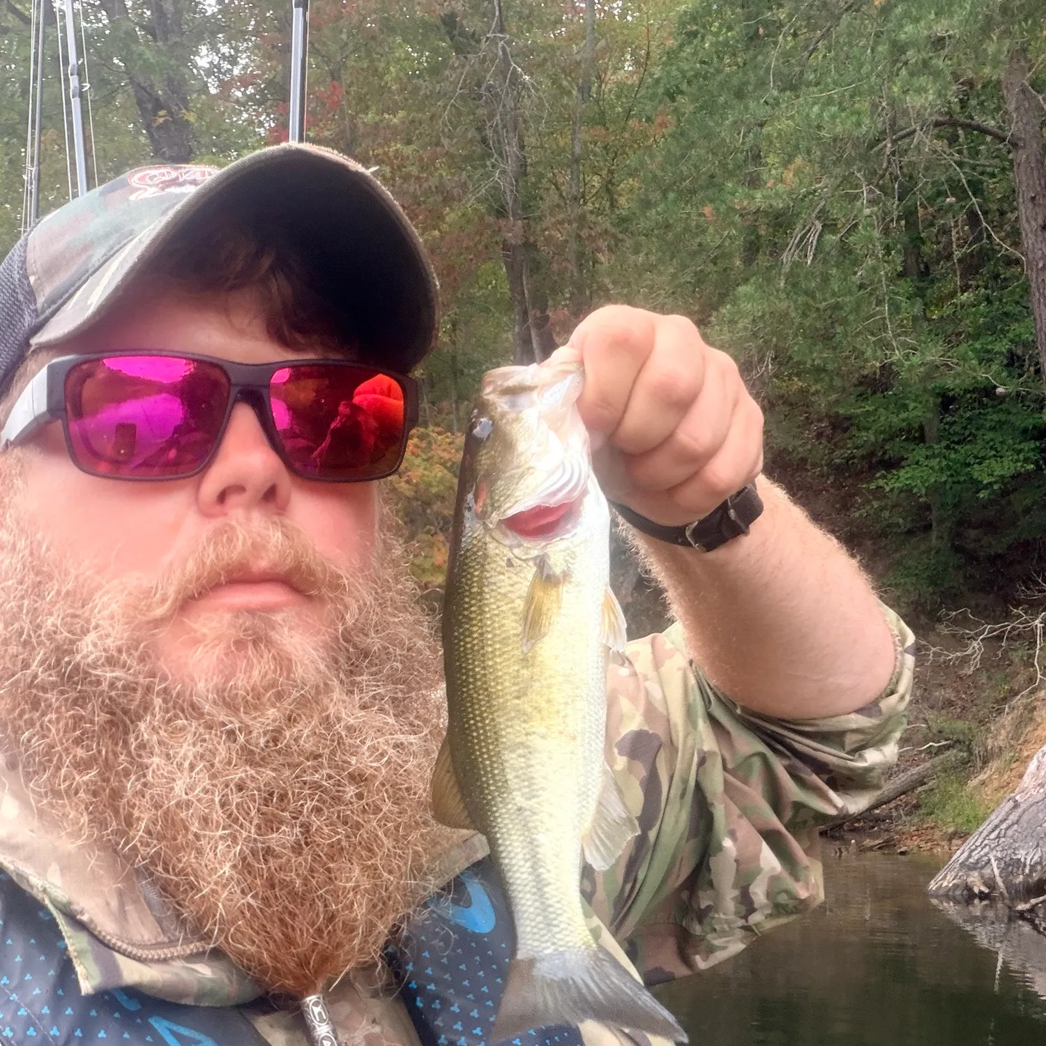 Largemouth bass caught on Fishbrain