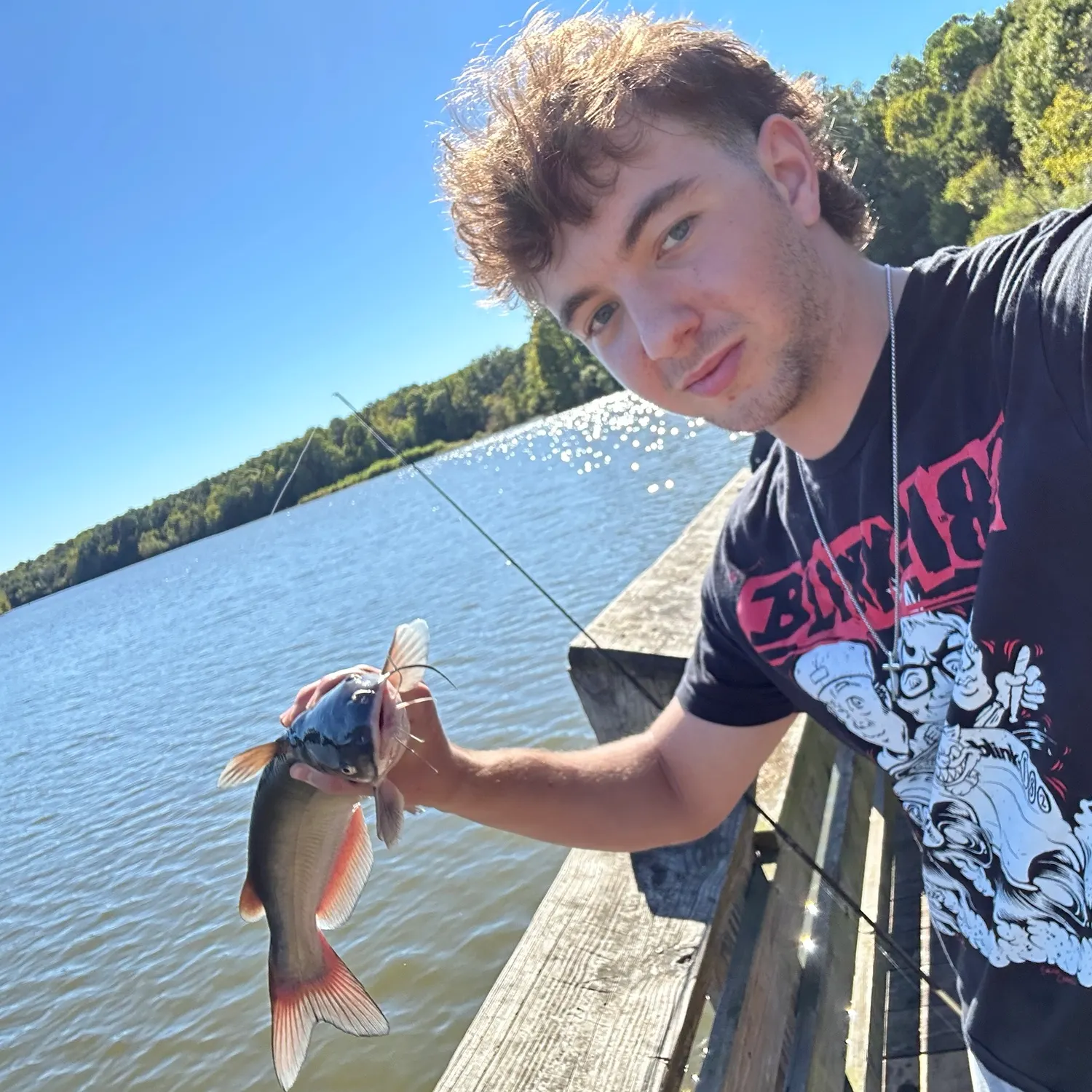 Channel catfish caught on Fishbrain