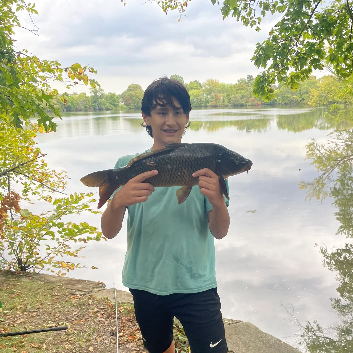 Common carp caught on Fishbrain