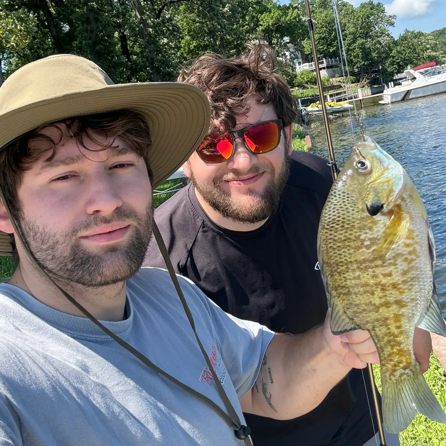 recently logged catches