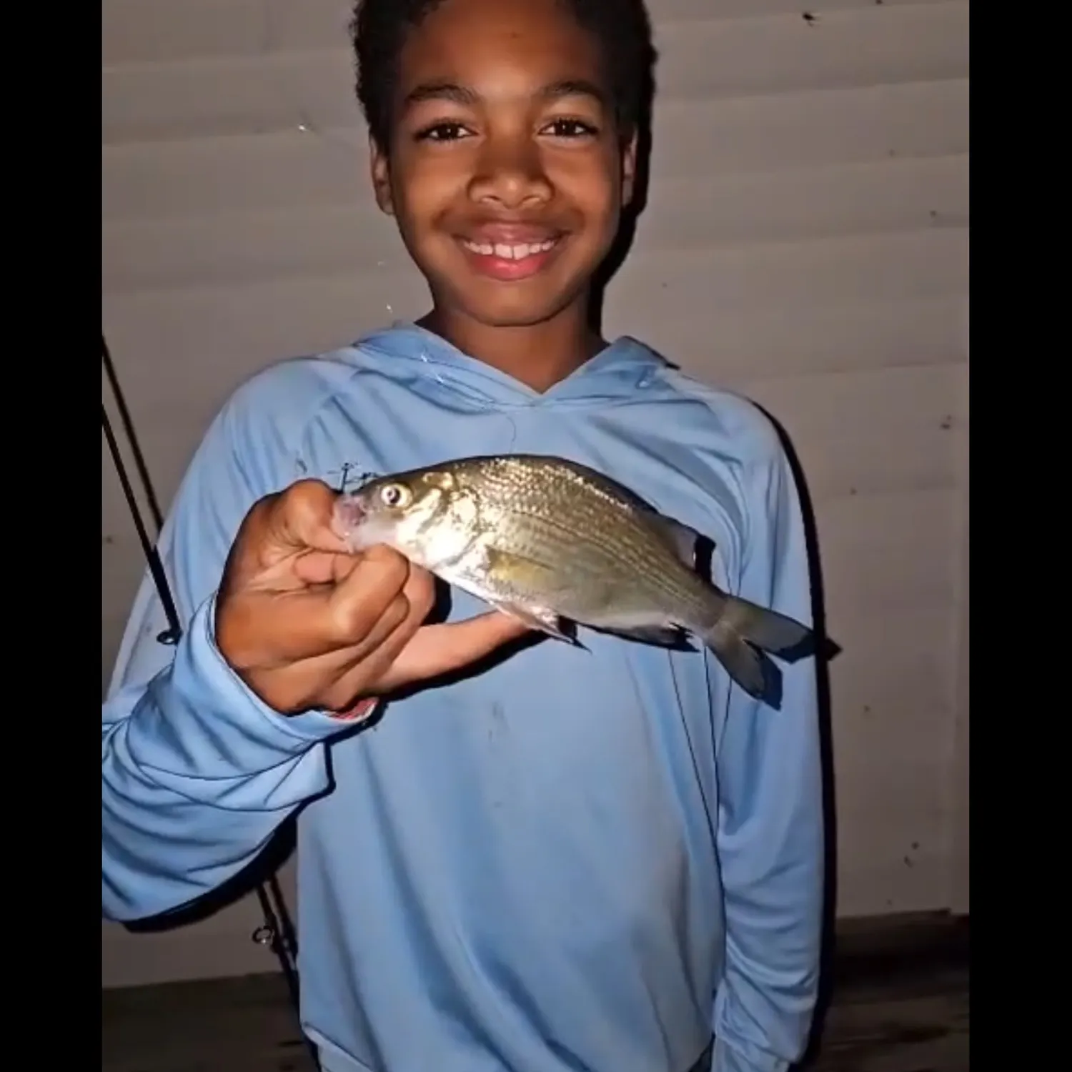 White perch caught on Fishbrain