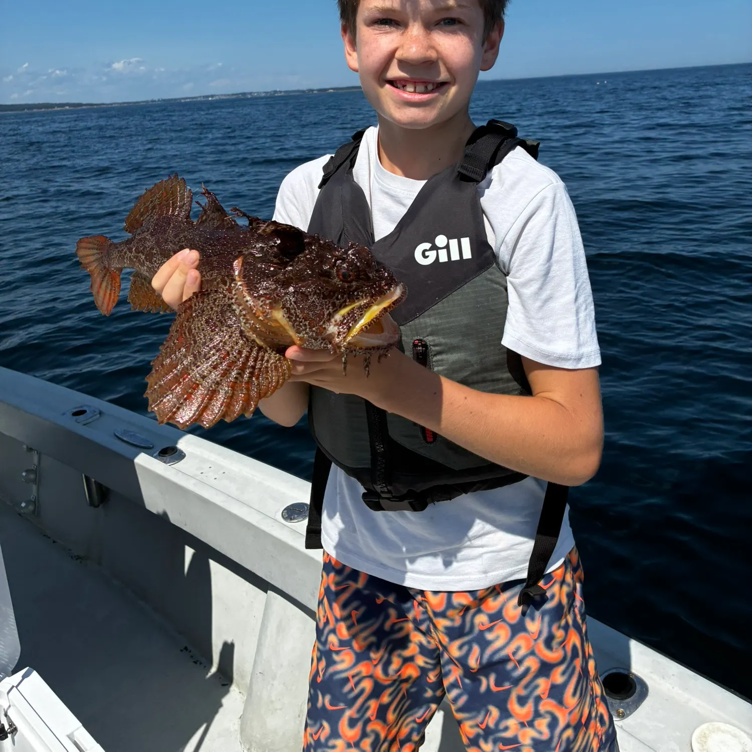 The most recent Sea raven catches on Fishbrain