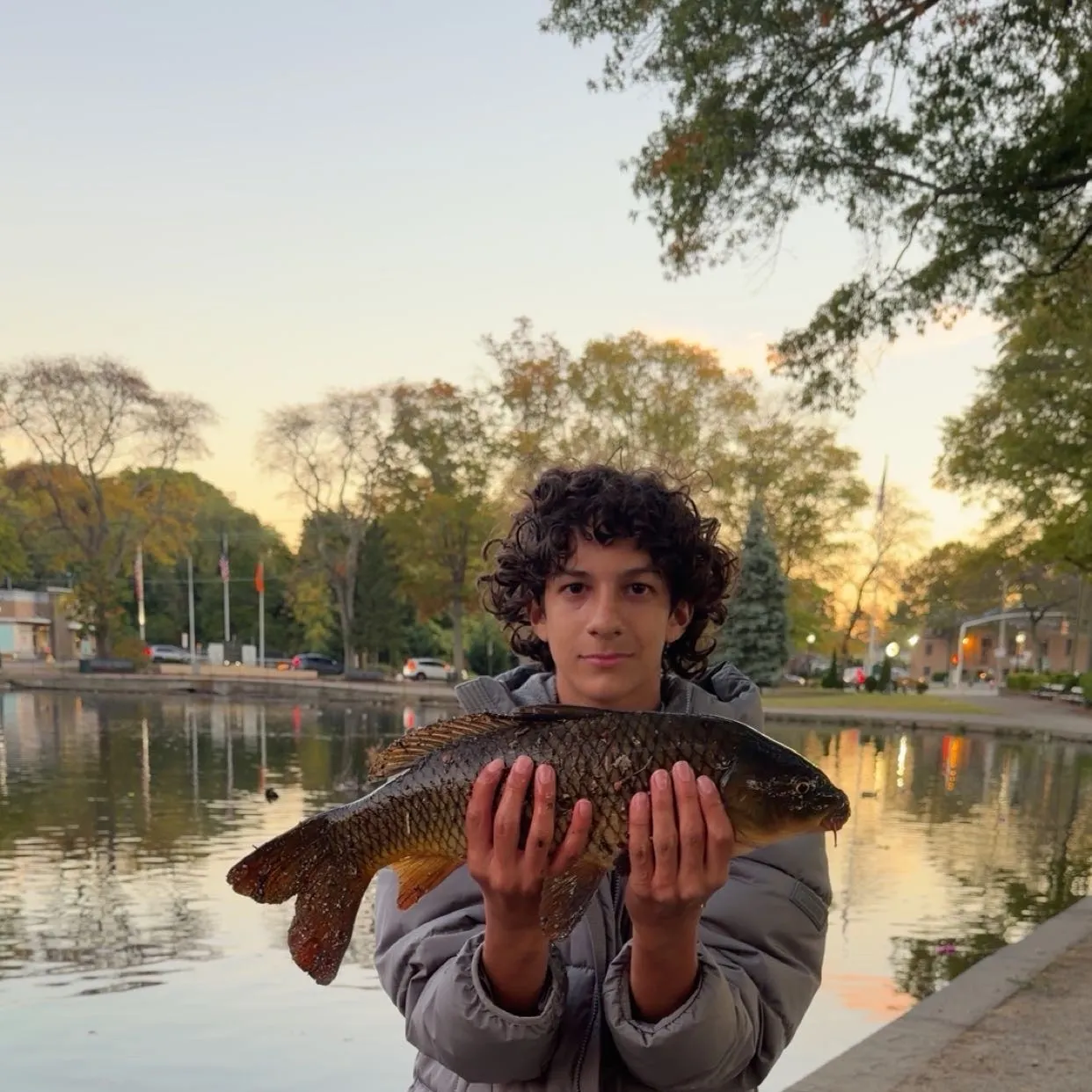 Common carp caught on Fishbrain
