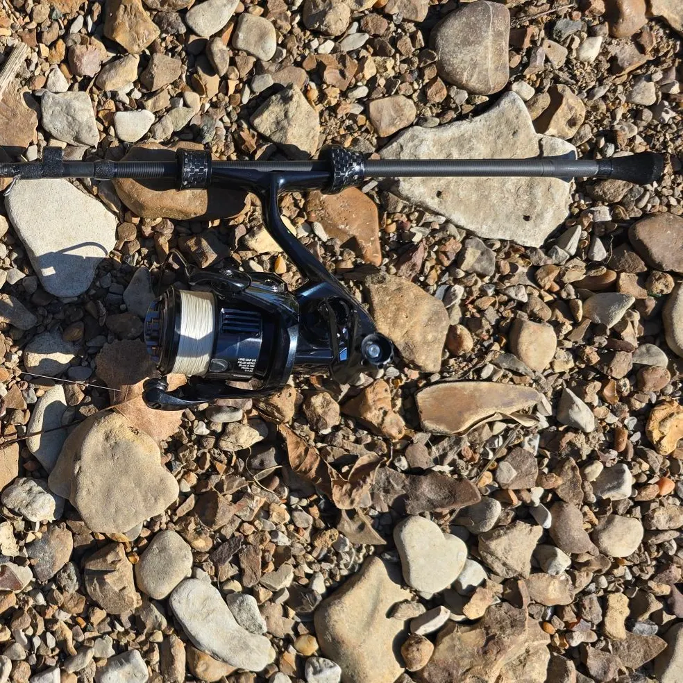 Greengill hybrid caught on Fishbrain