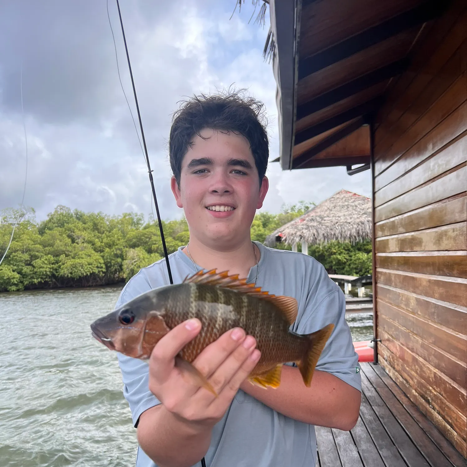 Mangrove snapper caught on Fishbrain