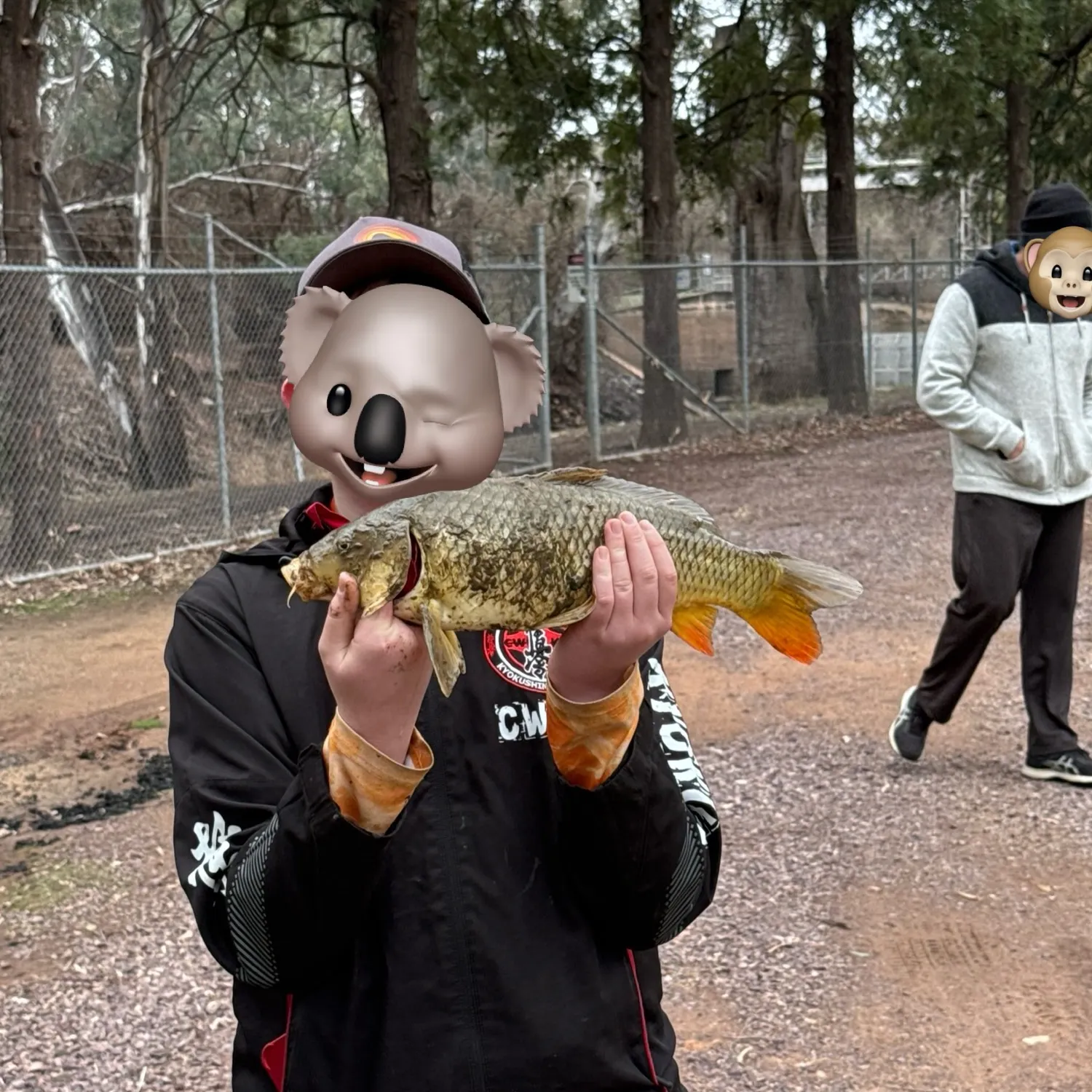 The most recent Common carp catches on Fishbrain