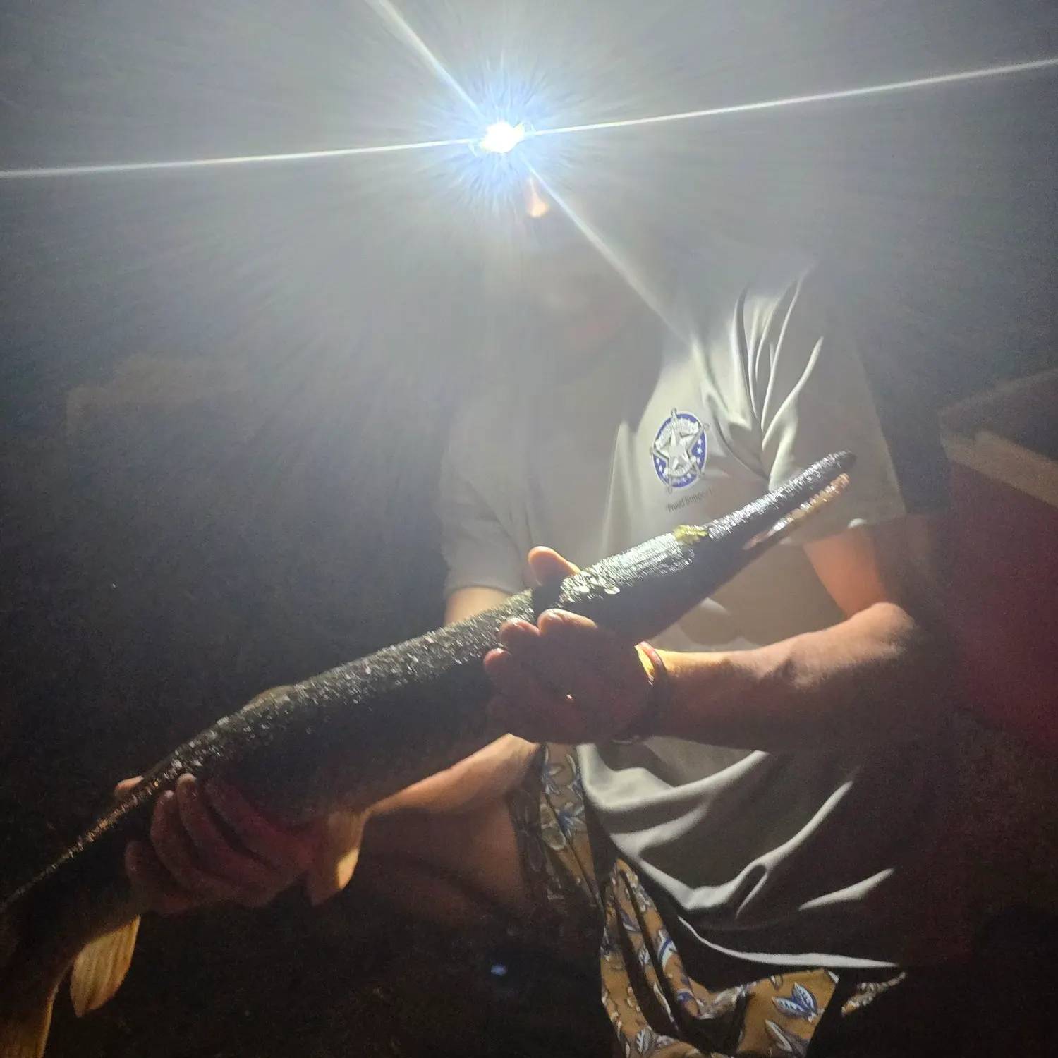 The most recent Spotted gar catches on Fishbrain