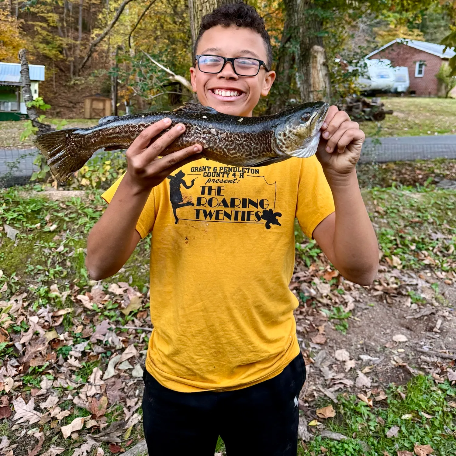 Brown trout caught on Fishbrain