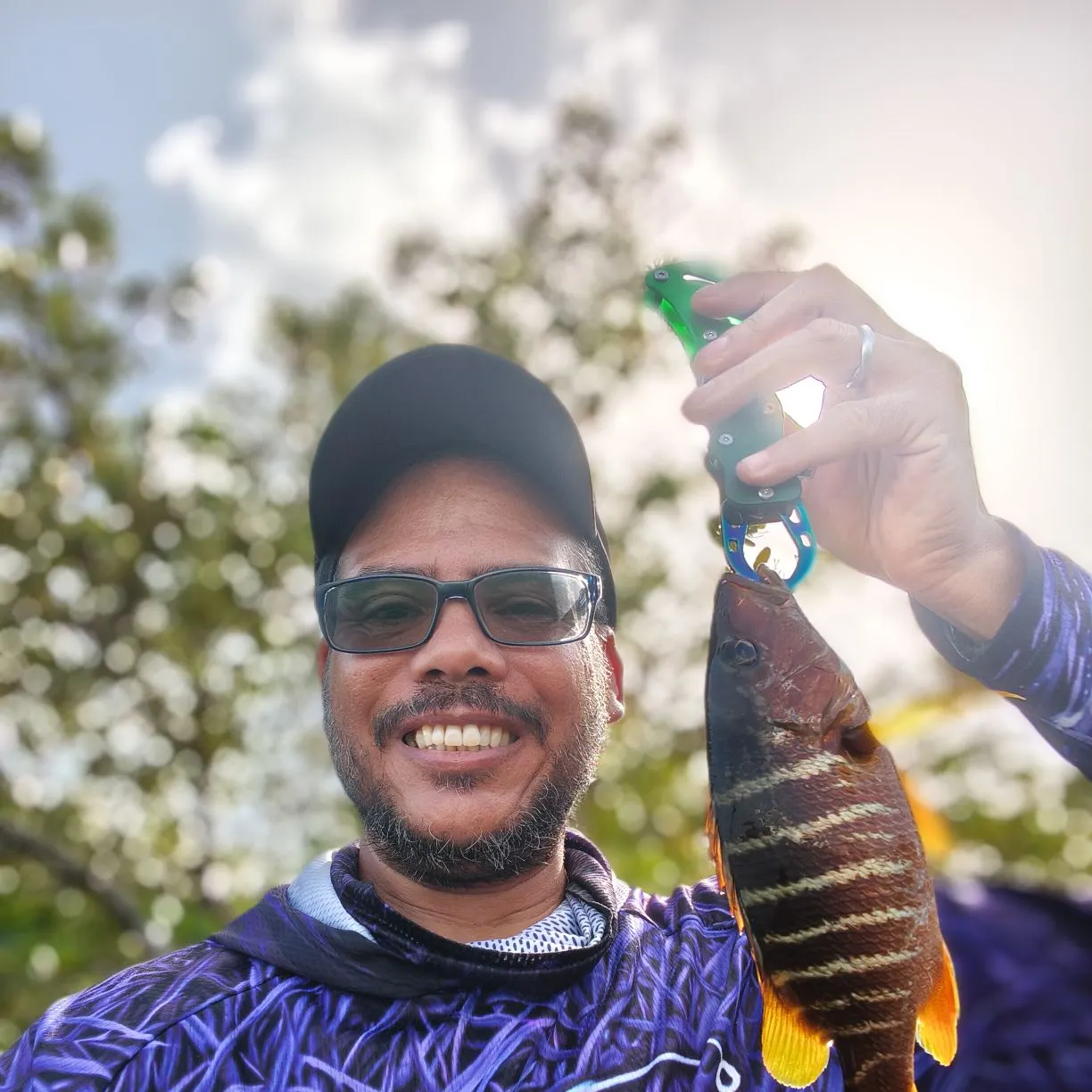 The most recent Mangrove snapper catches on Fishbrain