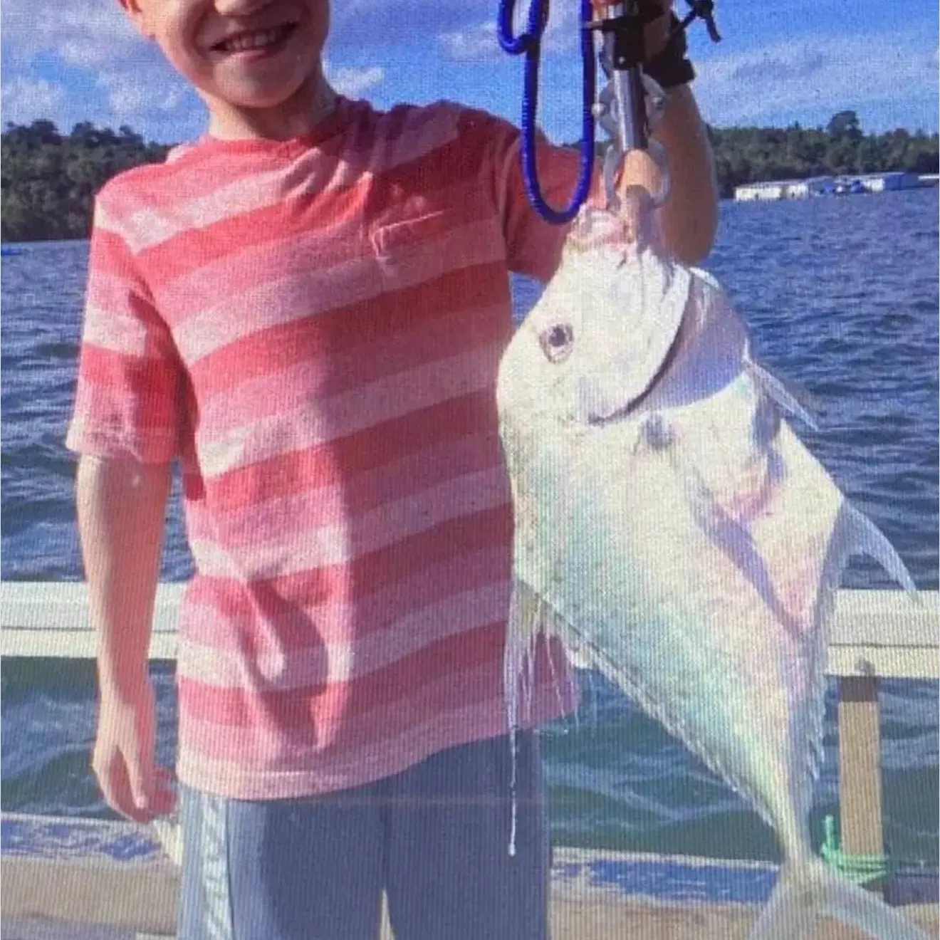 The most recent African pompano catches on Fishbrain