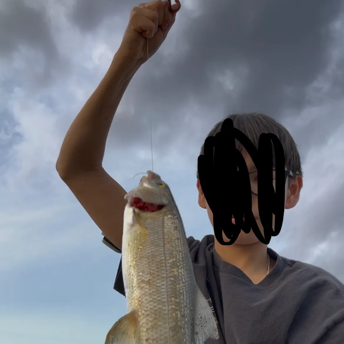 Mountain whitefish caught on Fishbrain