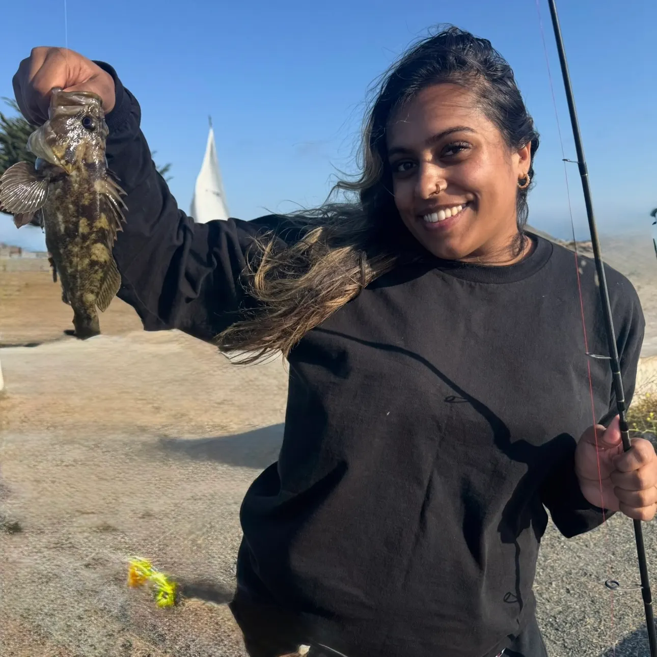 The most recent Grass rockfish catches on Fishbrain