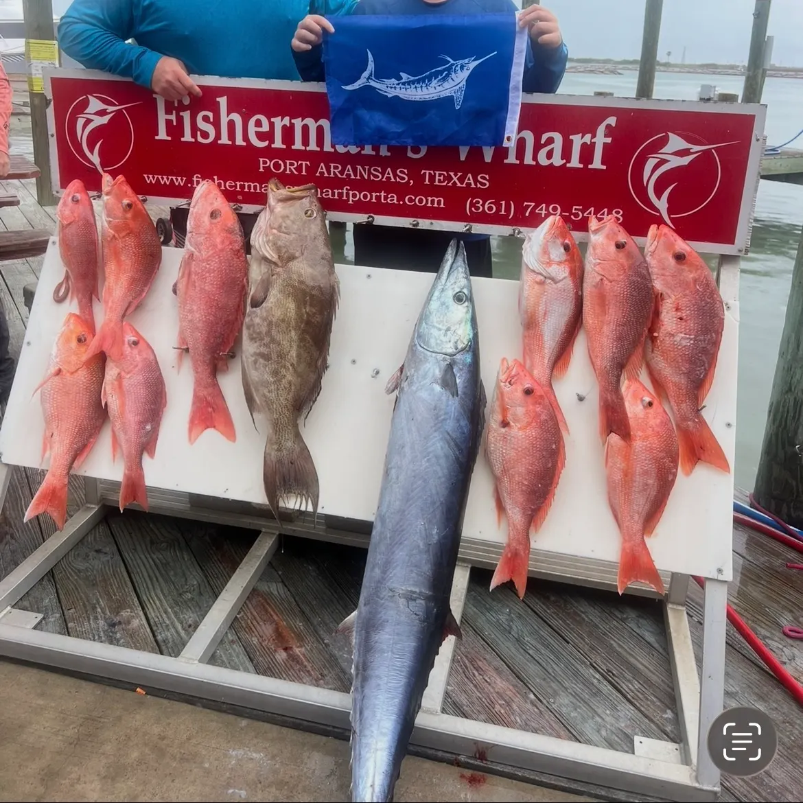 The most recent Wahoo catches on Fishbrain