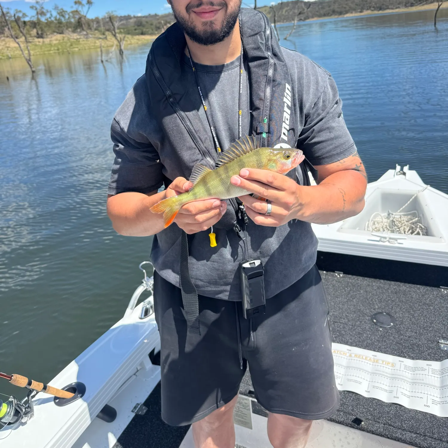 European perch caught on Fishbrain