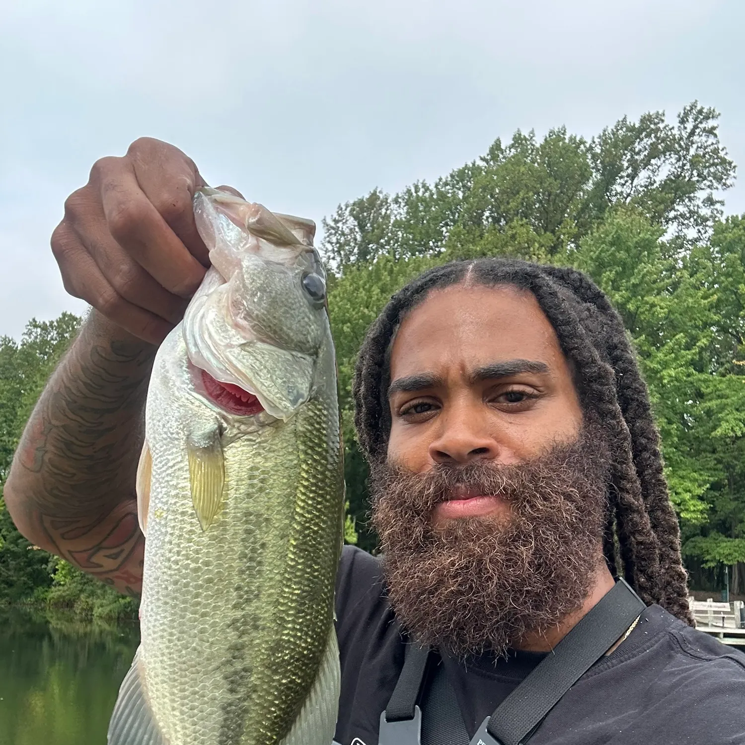 Largemouth bass caught on Fishbrain