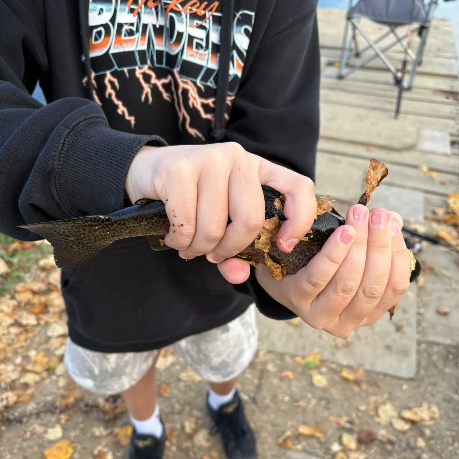 Rainbow trout caught on Fishbrain