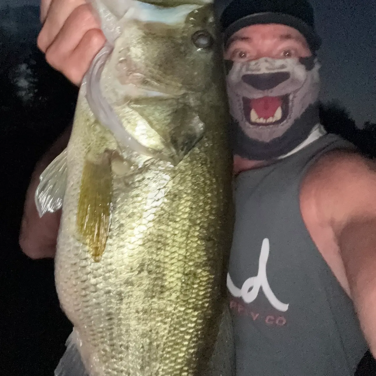Largemouth bass caught on Fishbrain