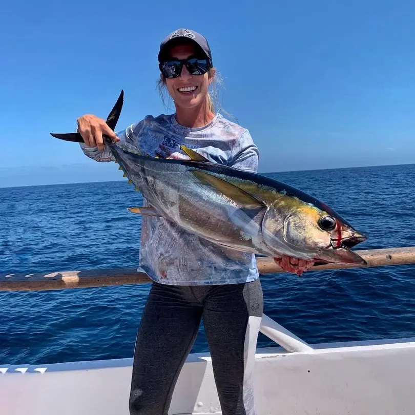 The most recent Yellowfin tuna catches on Fishbrain
