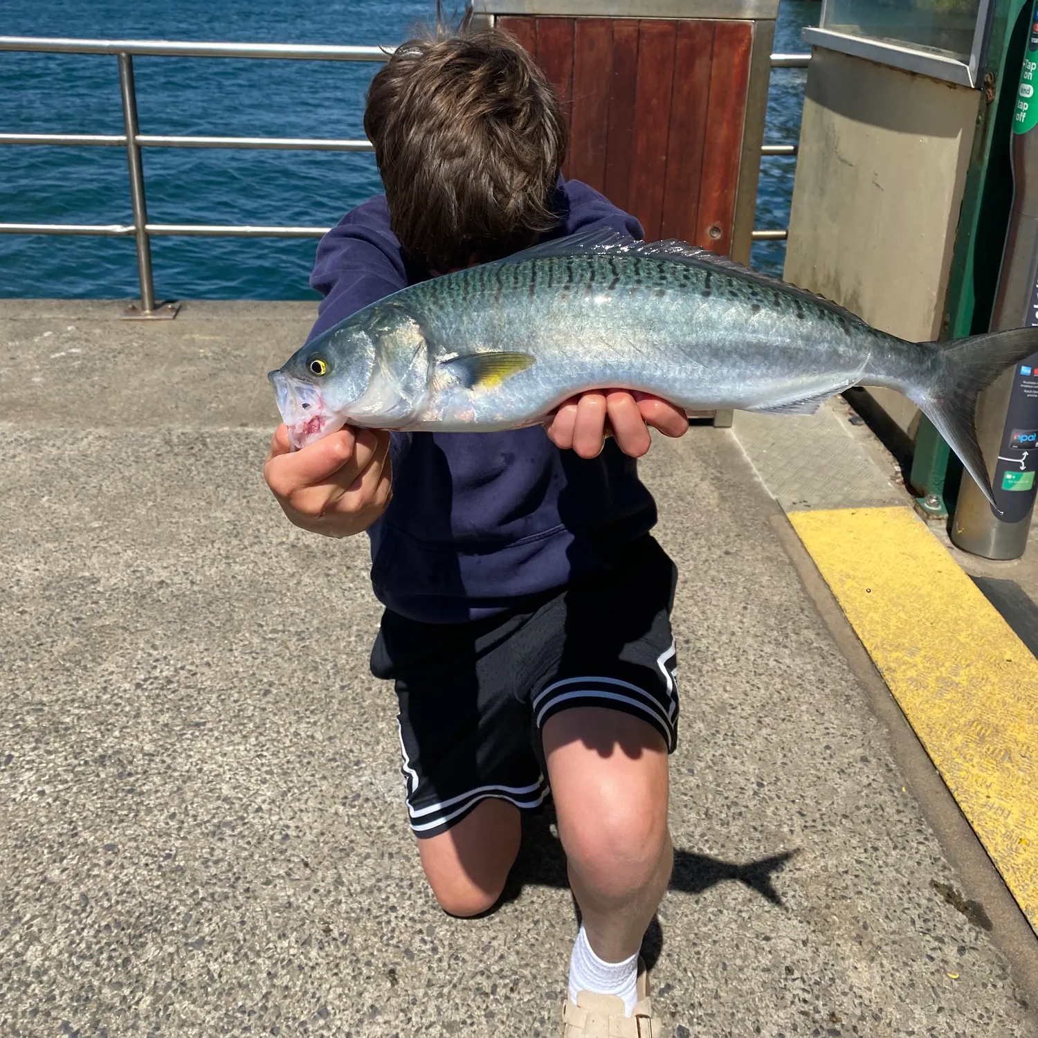 Fish caught on Fishbrain