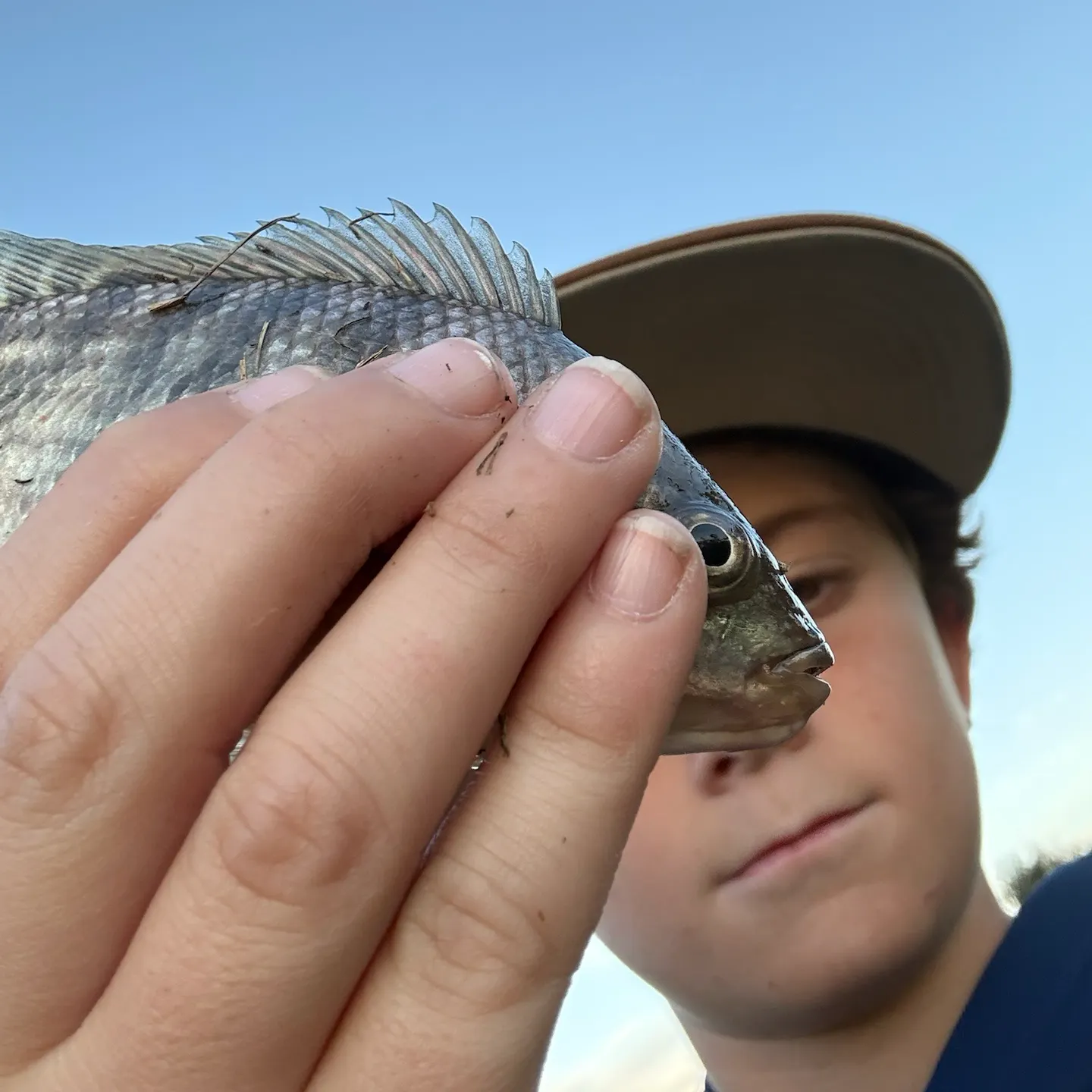 Redbelly tilapia caught on Fishbrain