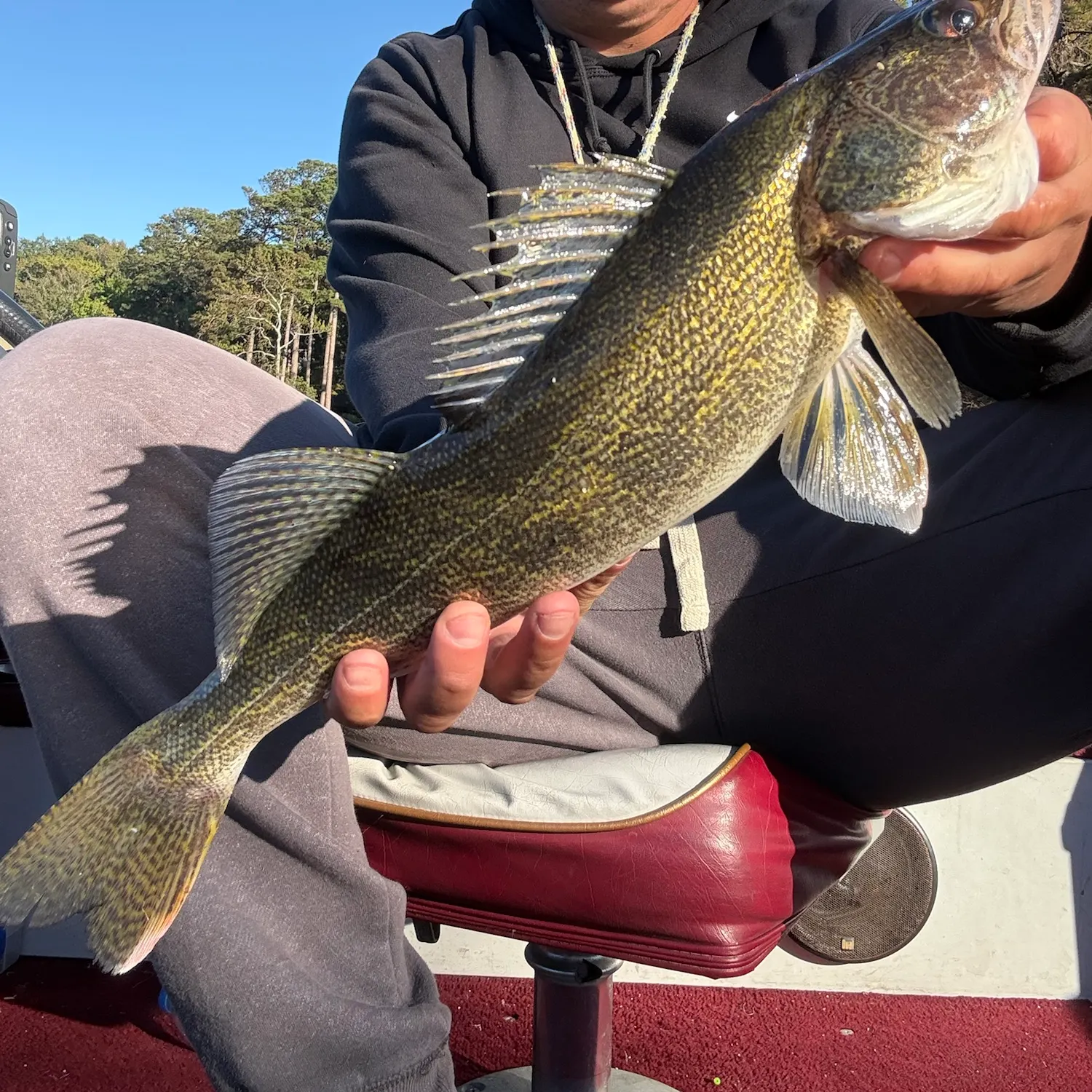 Walleye caught on Fishbrain