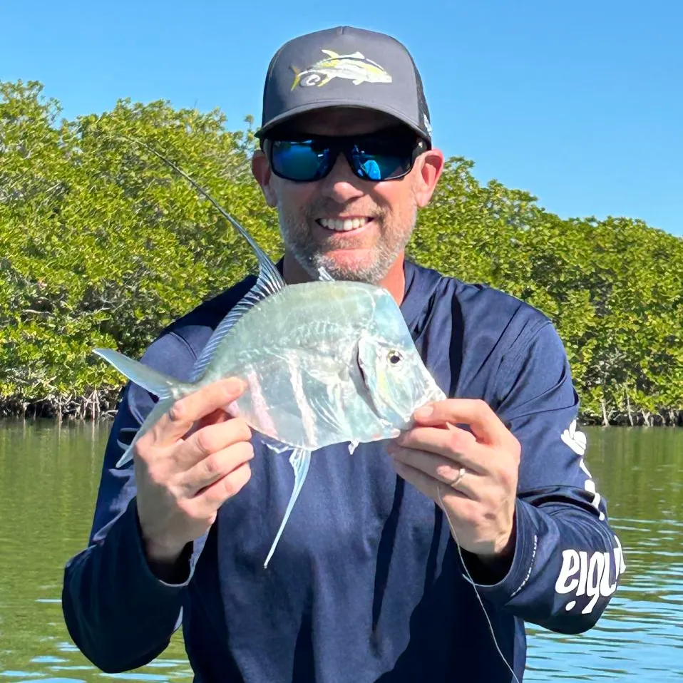 The most recent Lookdown catches on Fishbrain