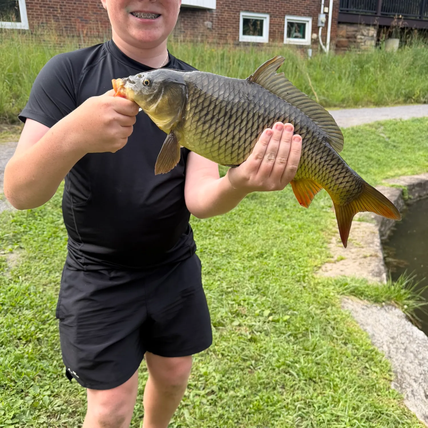 Common carp caught on Fishbrain