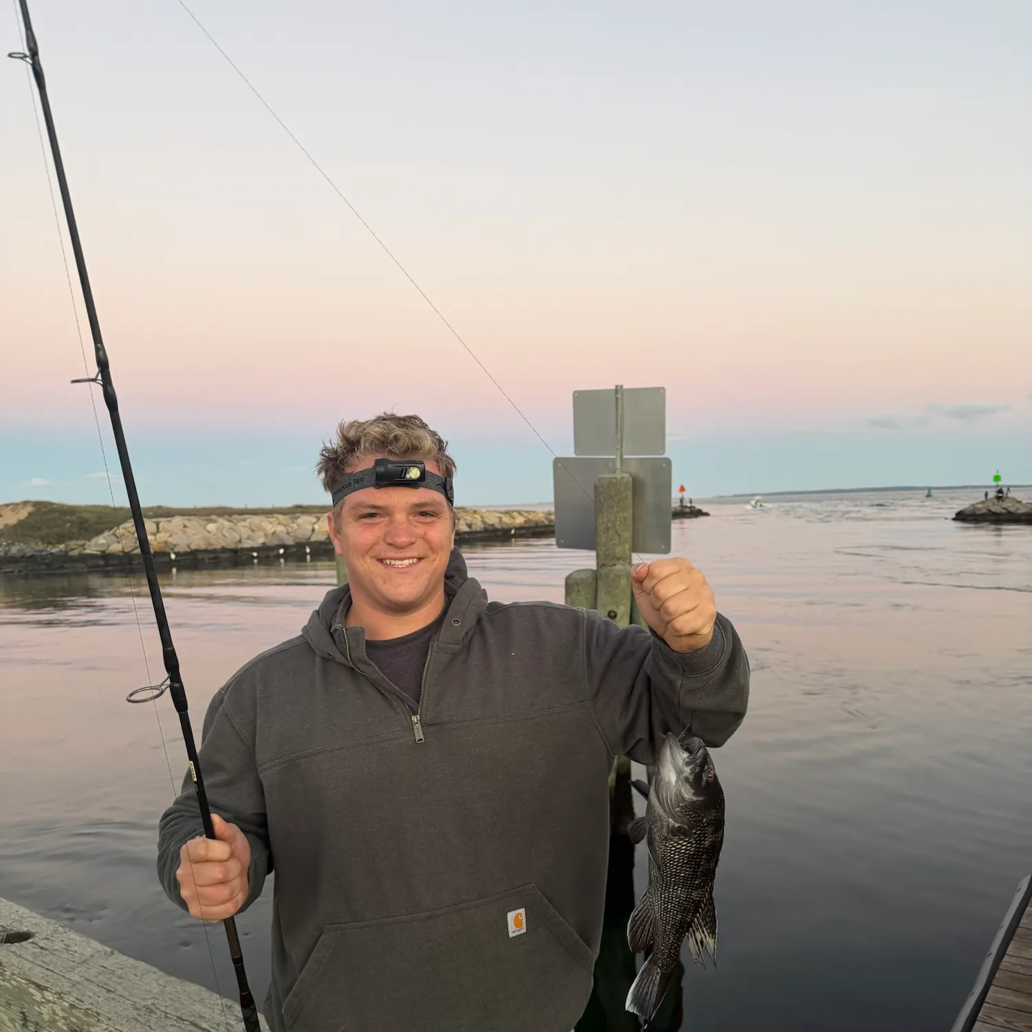 Black sea bass caught on Fishbrain