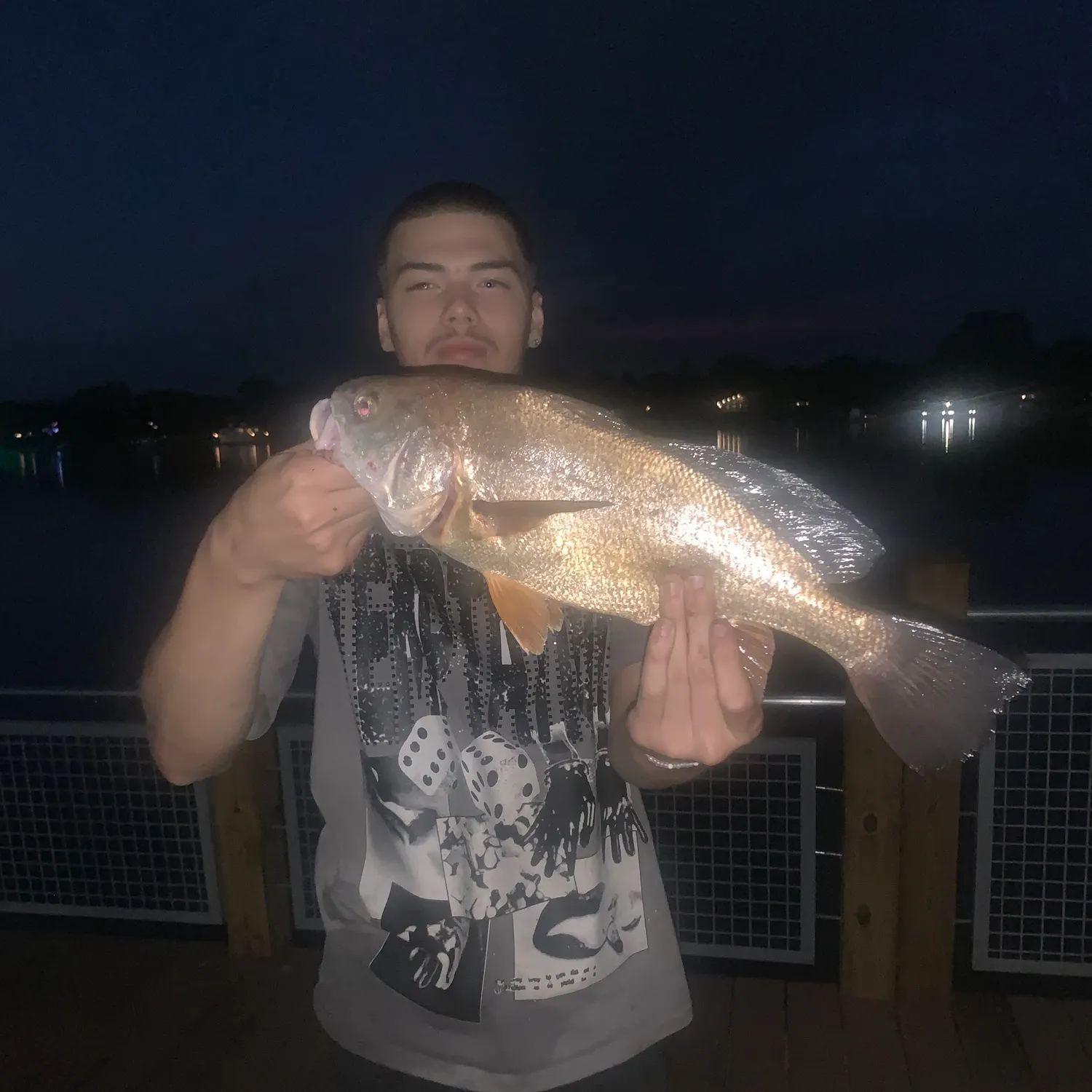 Freshwater drum caught on Fishbrain