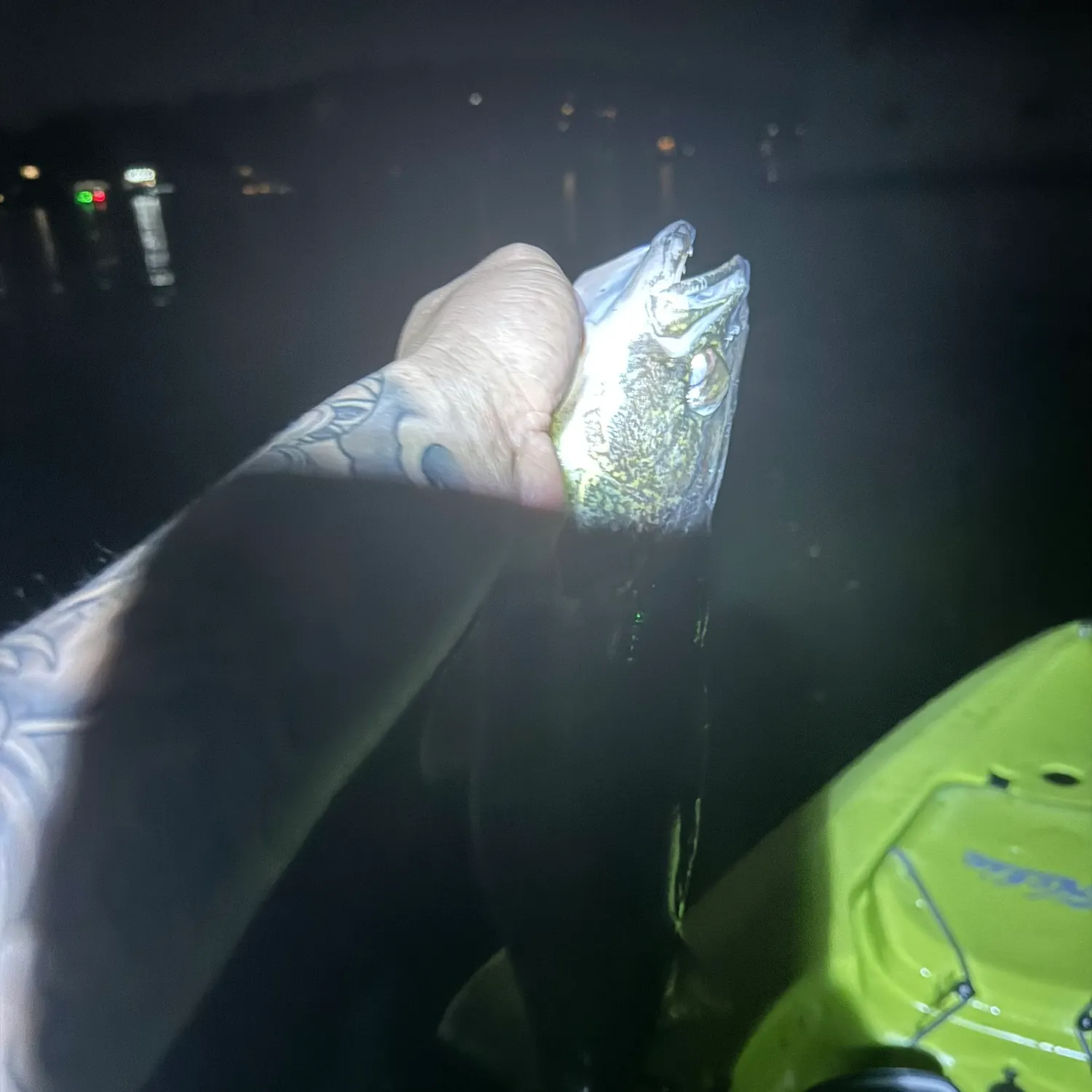 recently logged catches