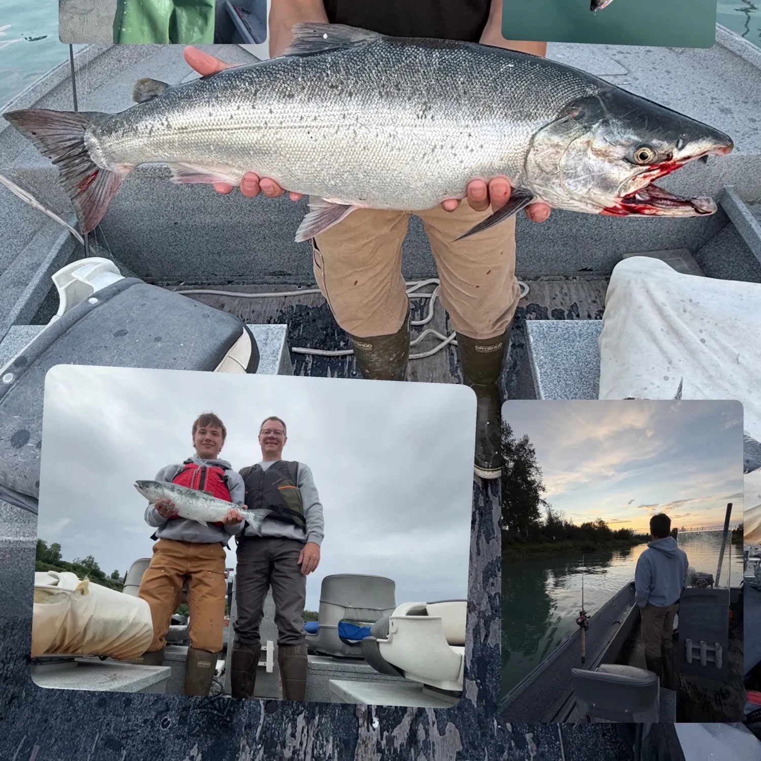 recently logged catches