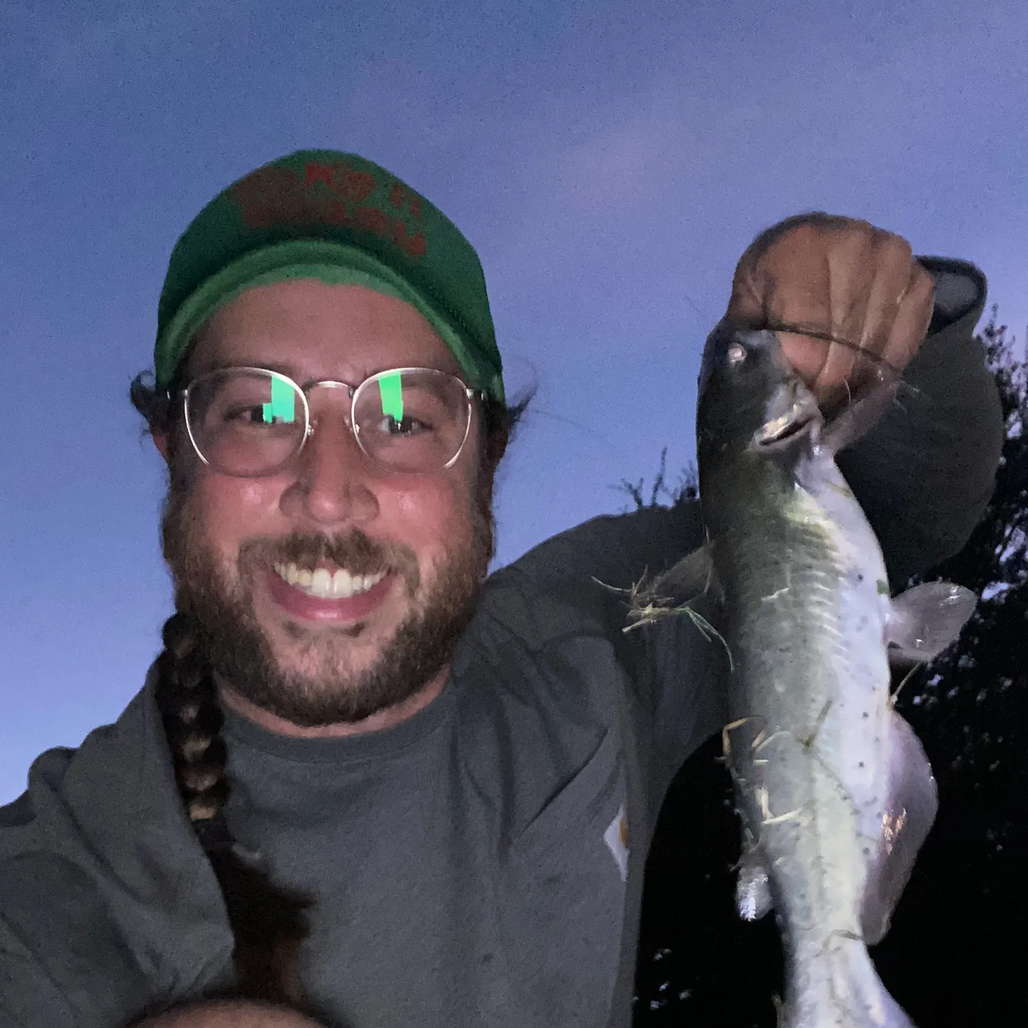 Channel catfish caught on Fishbrain
