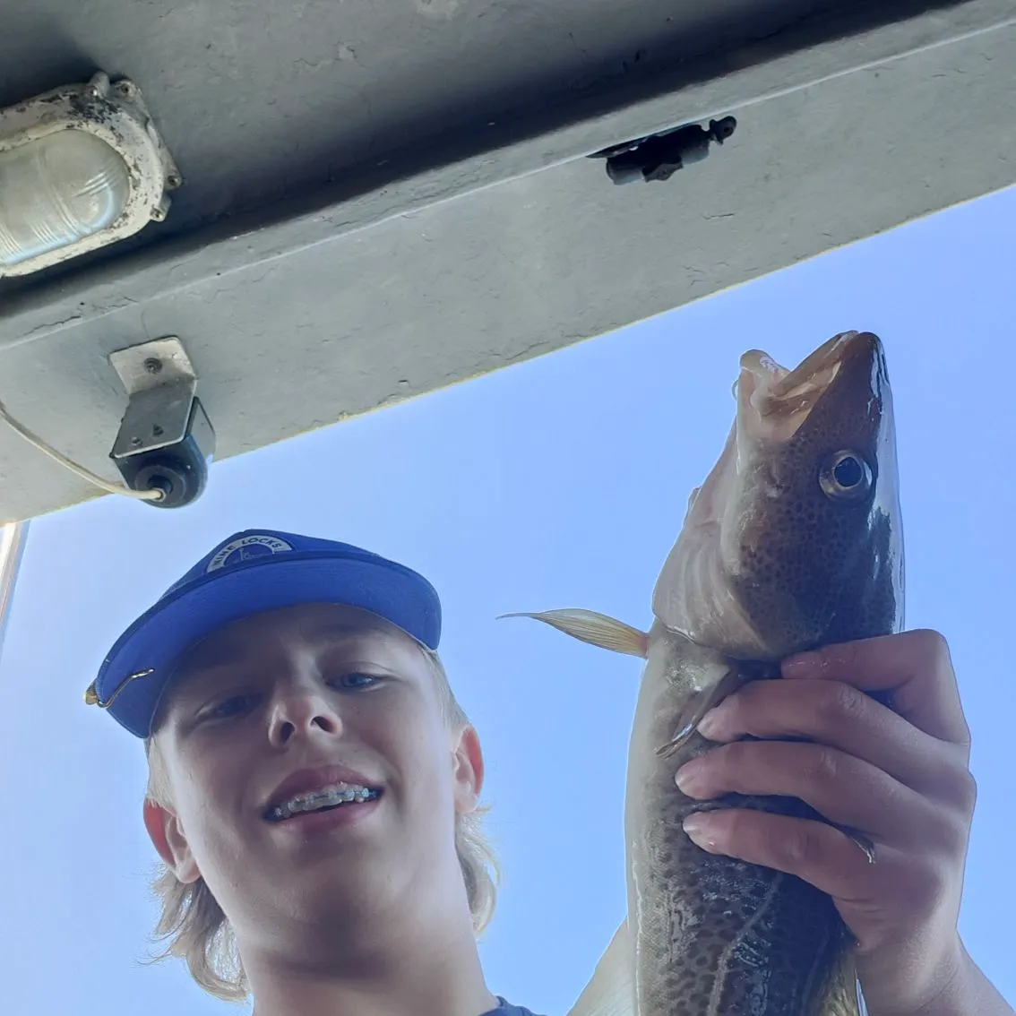 Atlantic cod caught on Fishbrain