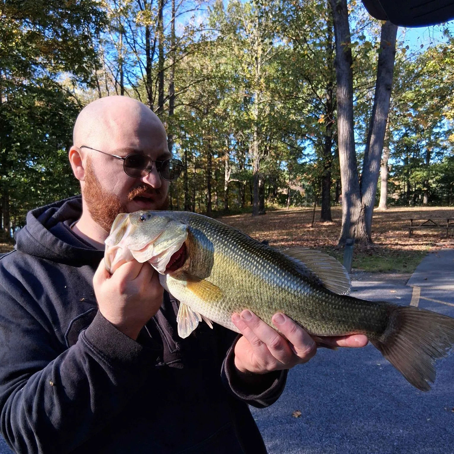 Largemouth bass caught on Fishbrain