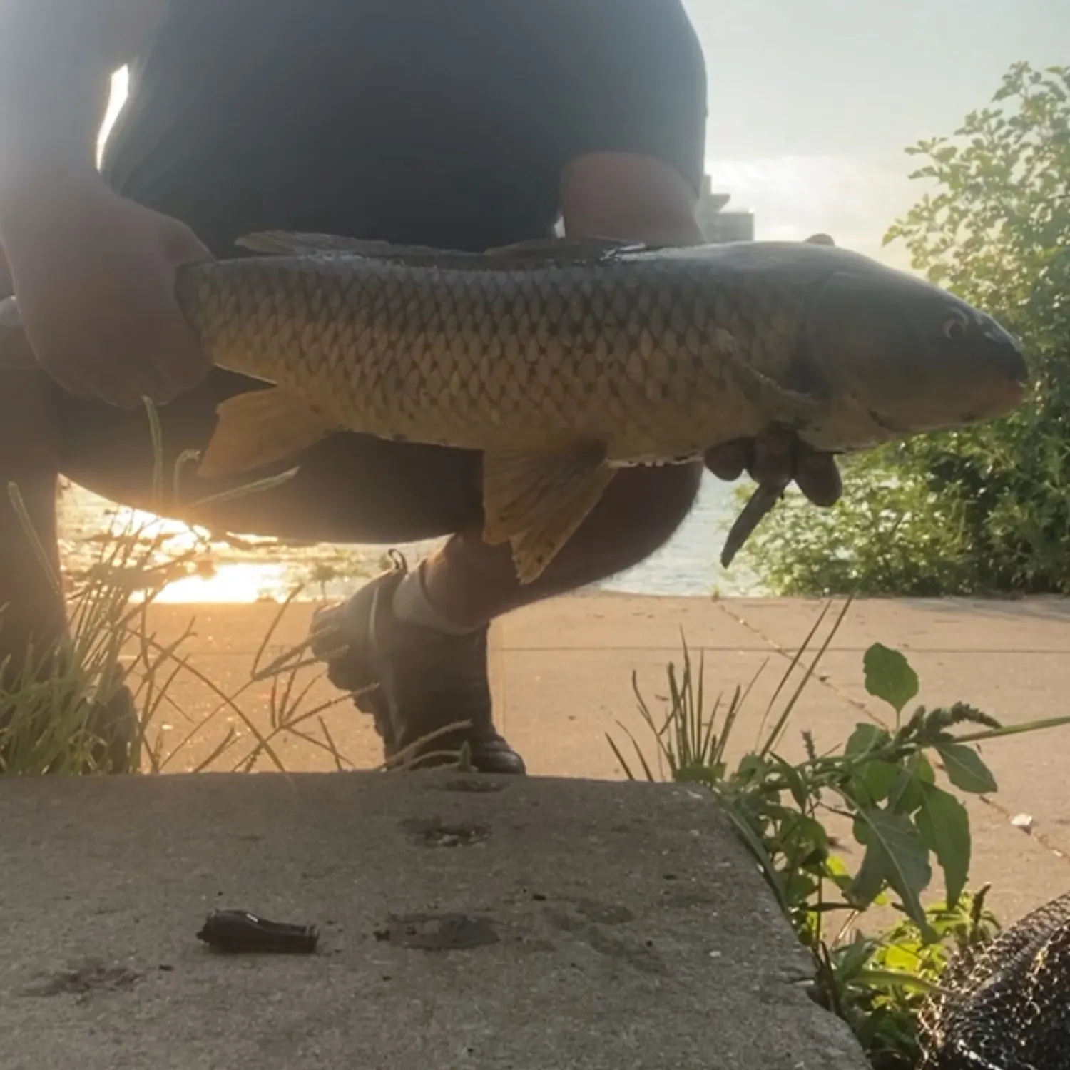 catch