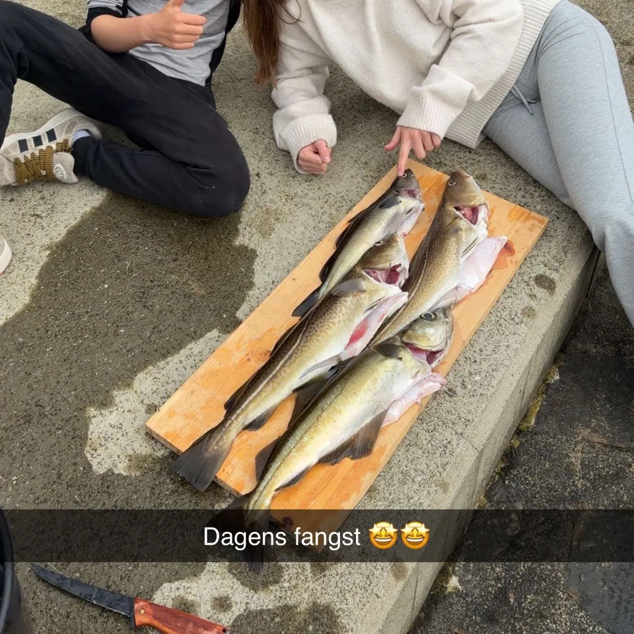 recently logged catches