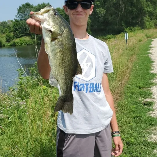 Largemouth bass caught on Fishbrain